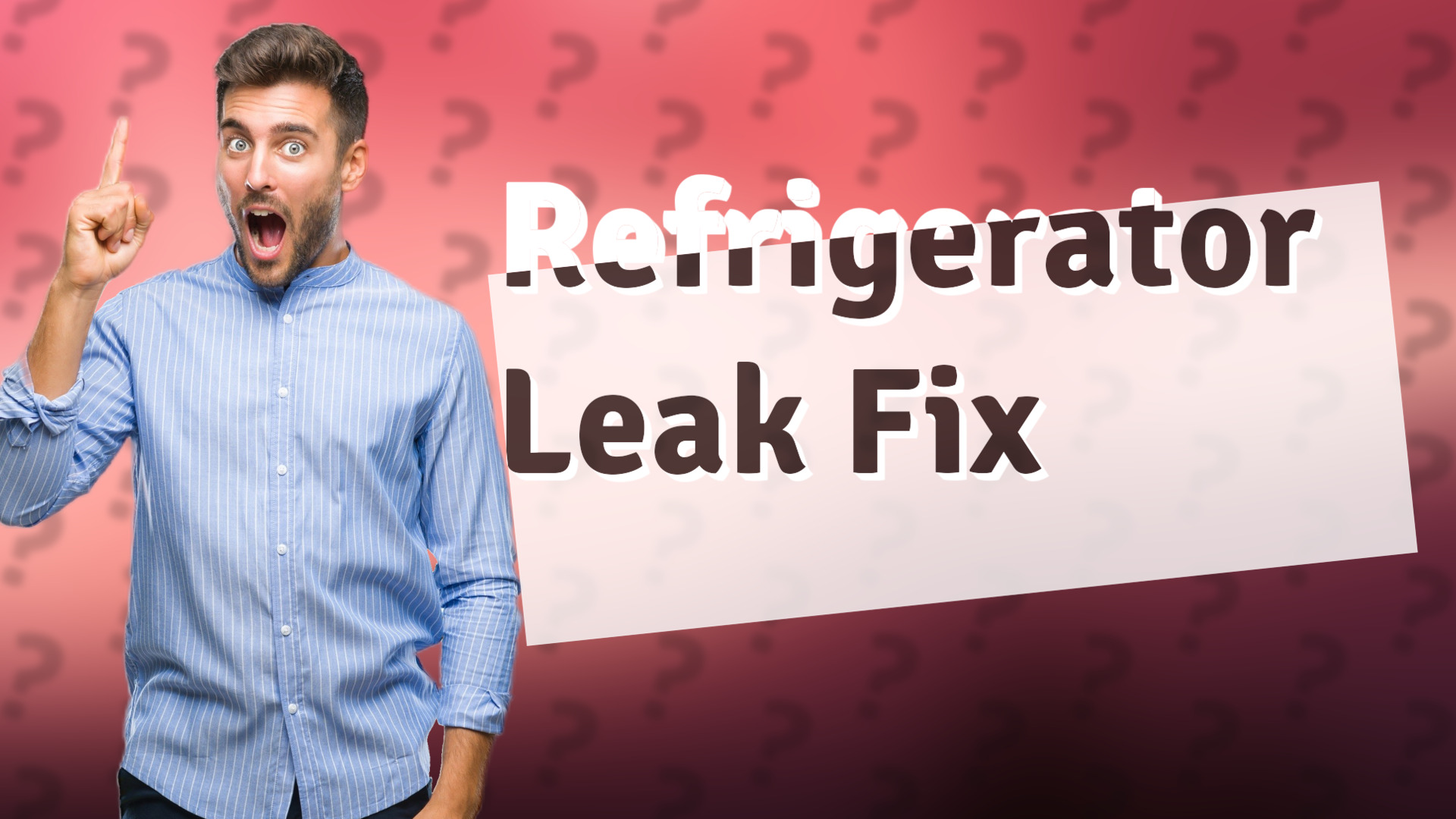 Refrigerator Leak Fix
