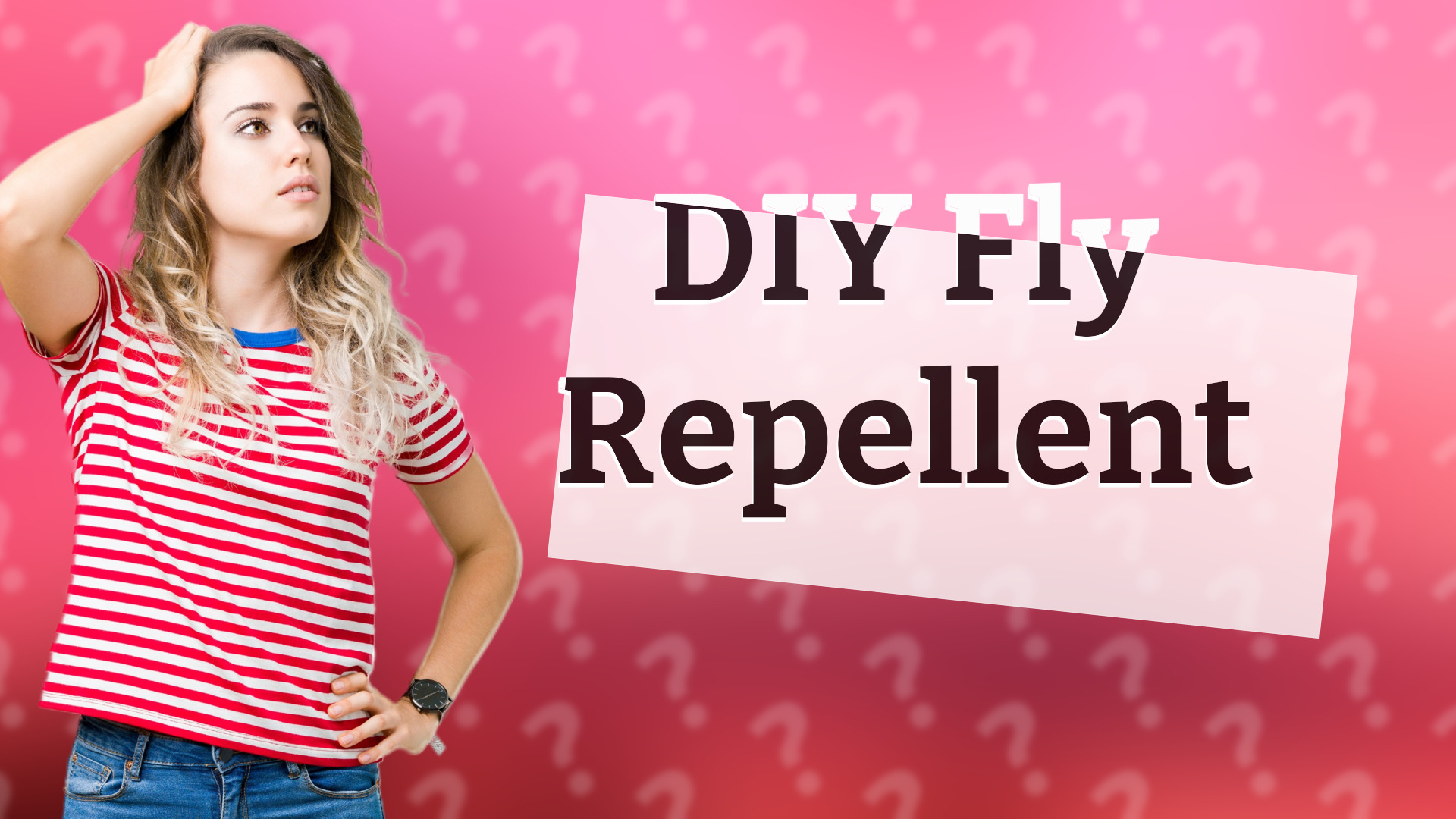 DIY Fly Repellent