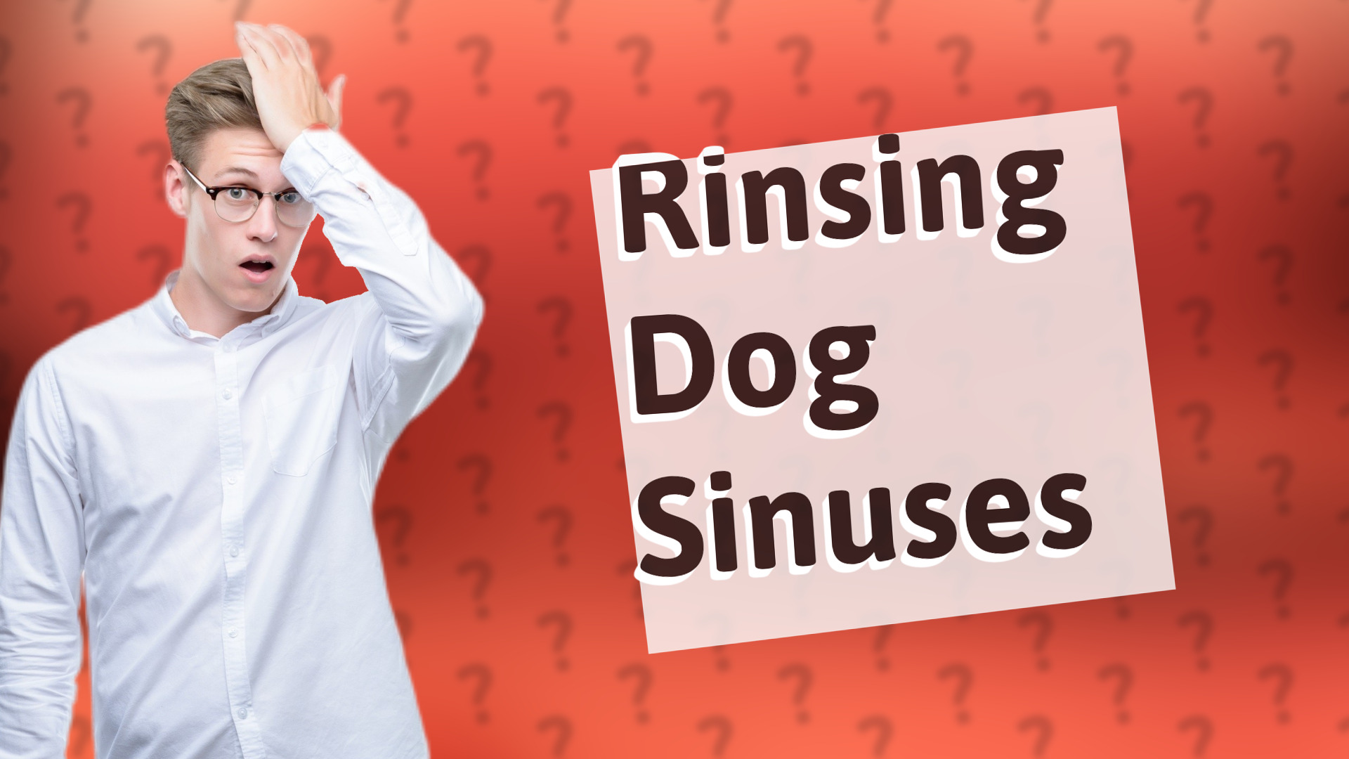 Rinsing Dog Sinuses