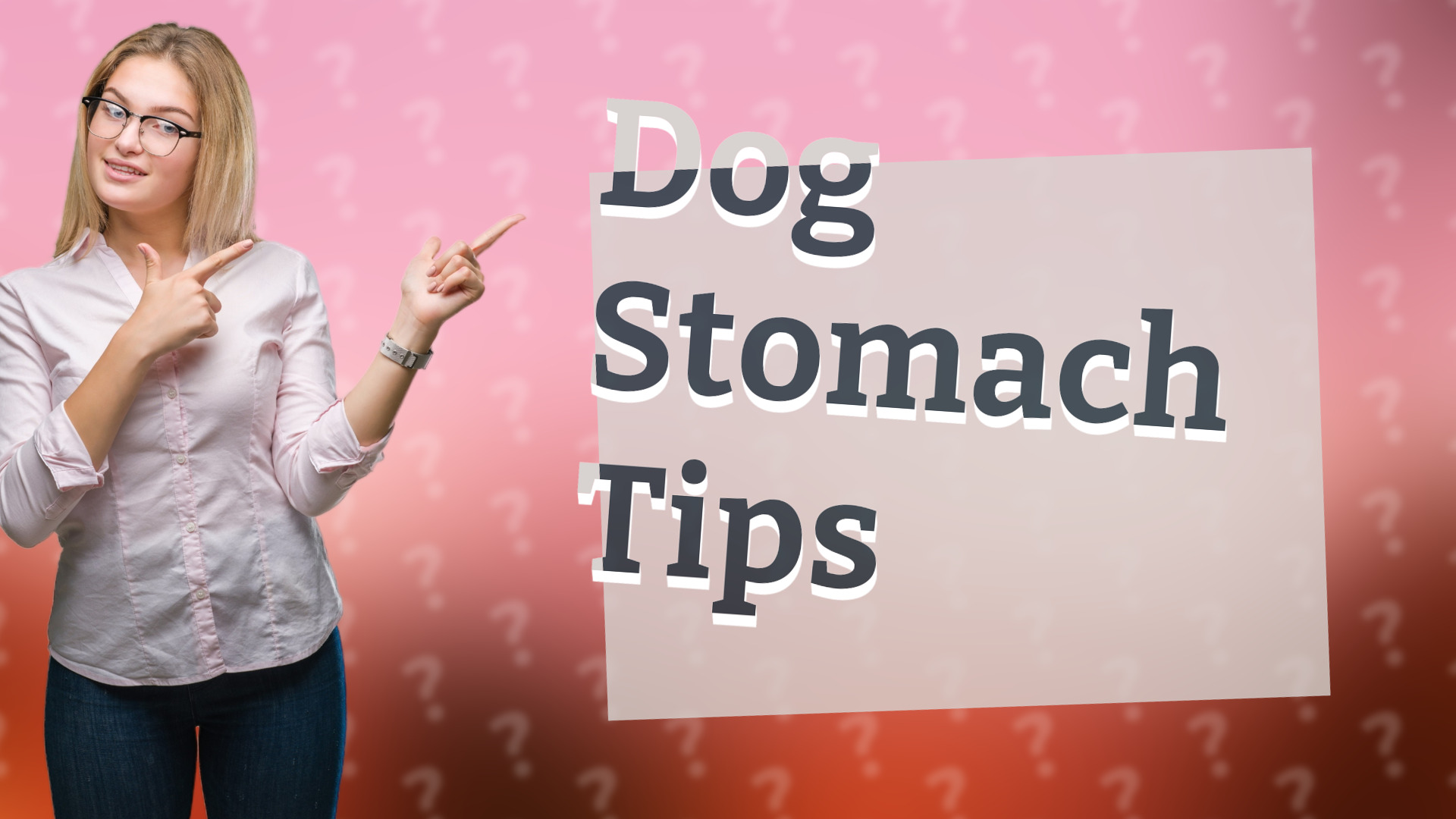Dog Stomach Tips
