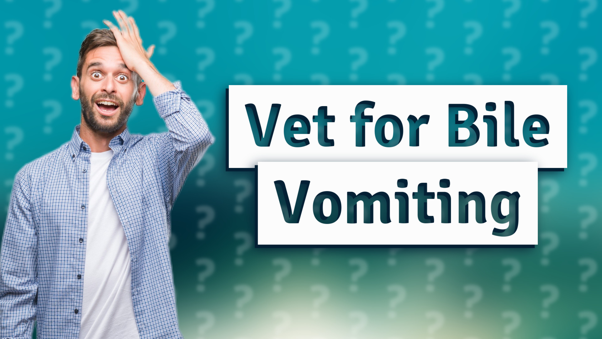 Vet for Bile Vomiting
