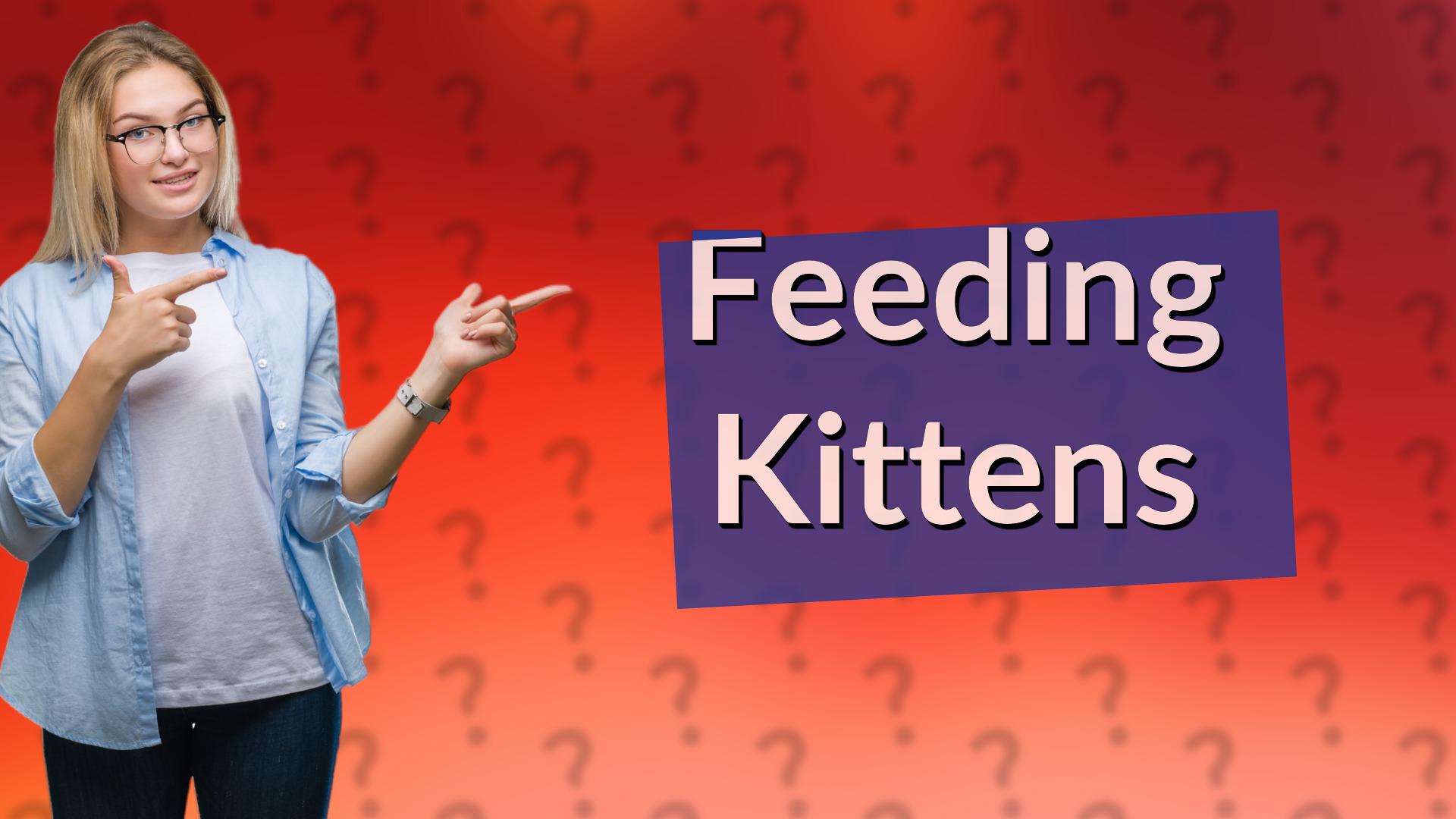 Feeding Kittens