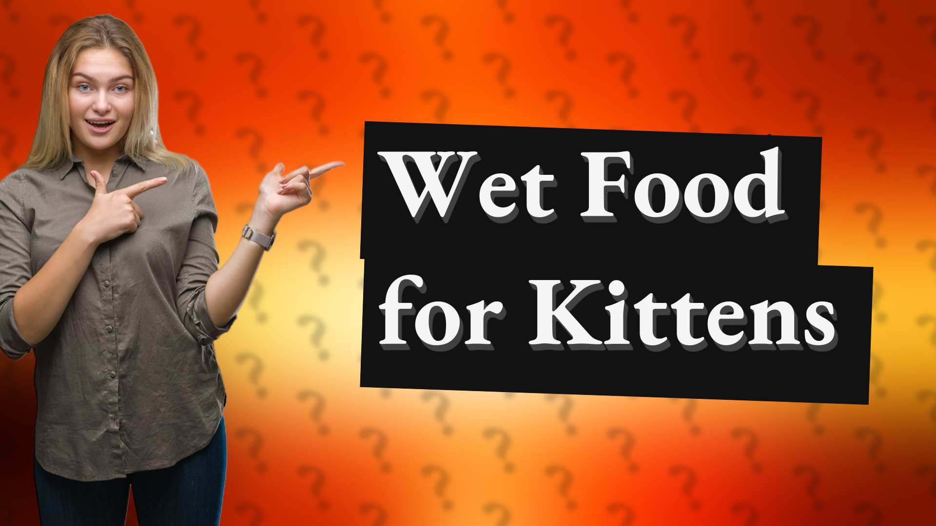 Wet Food for Kittens