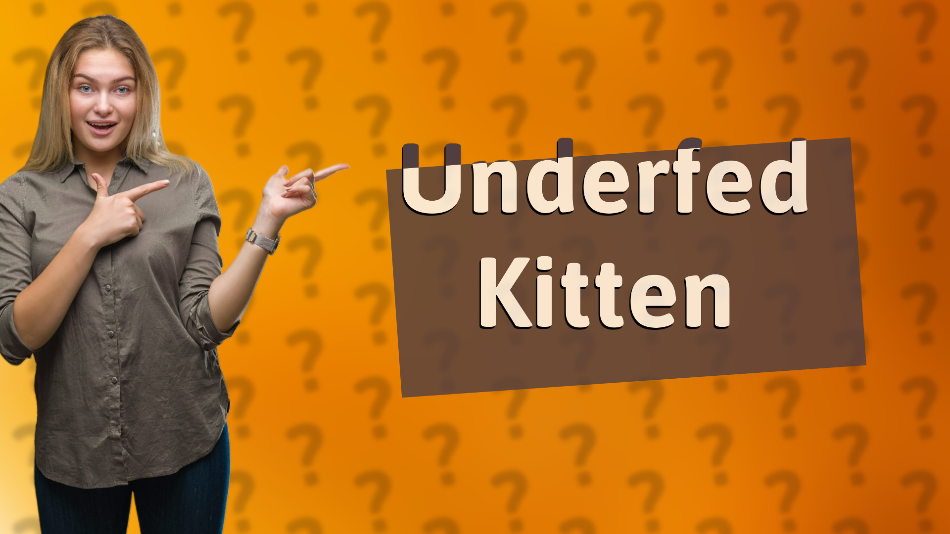 Underfed Kitten