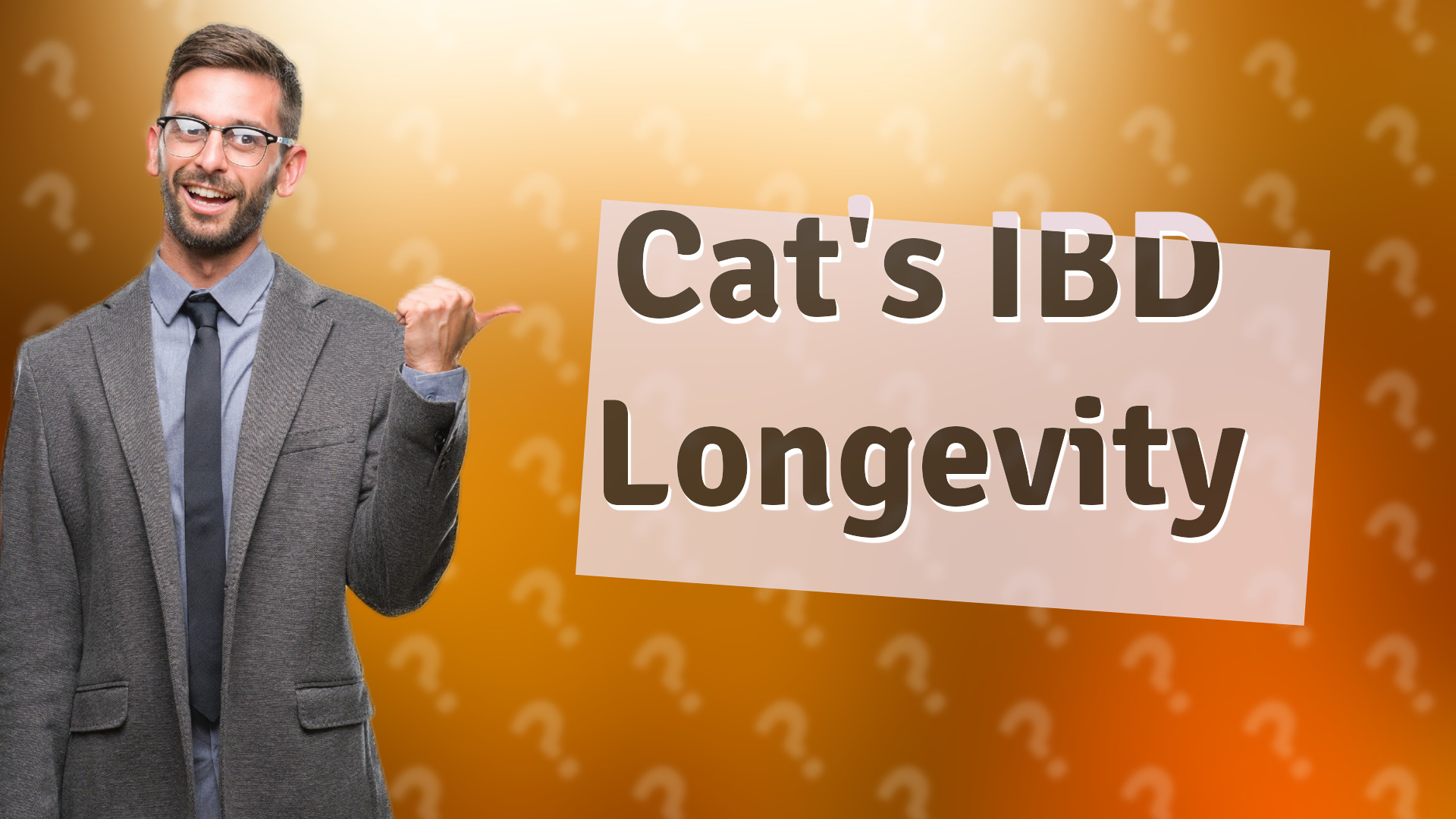 Cat's IBD Longevity