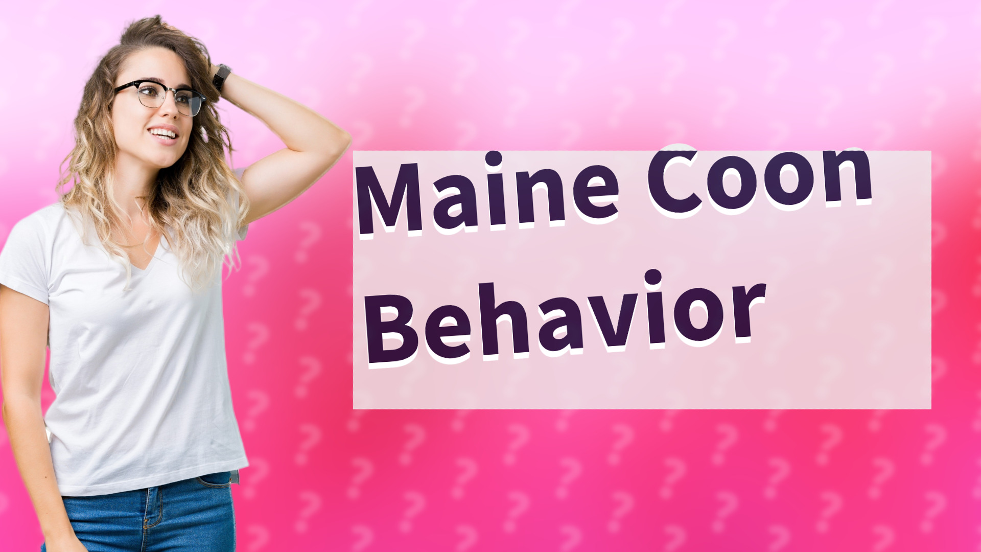 Maine Coon Behavior