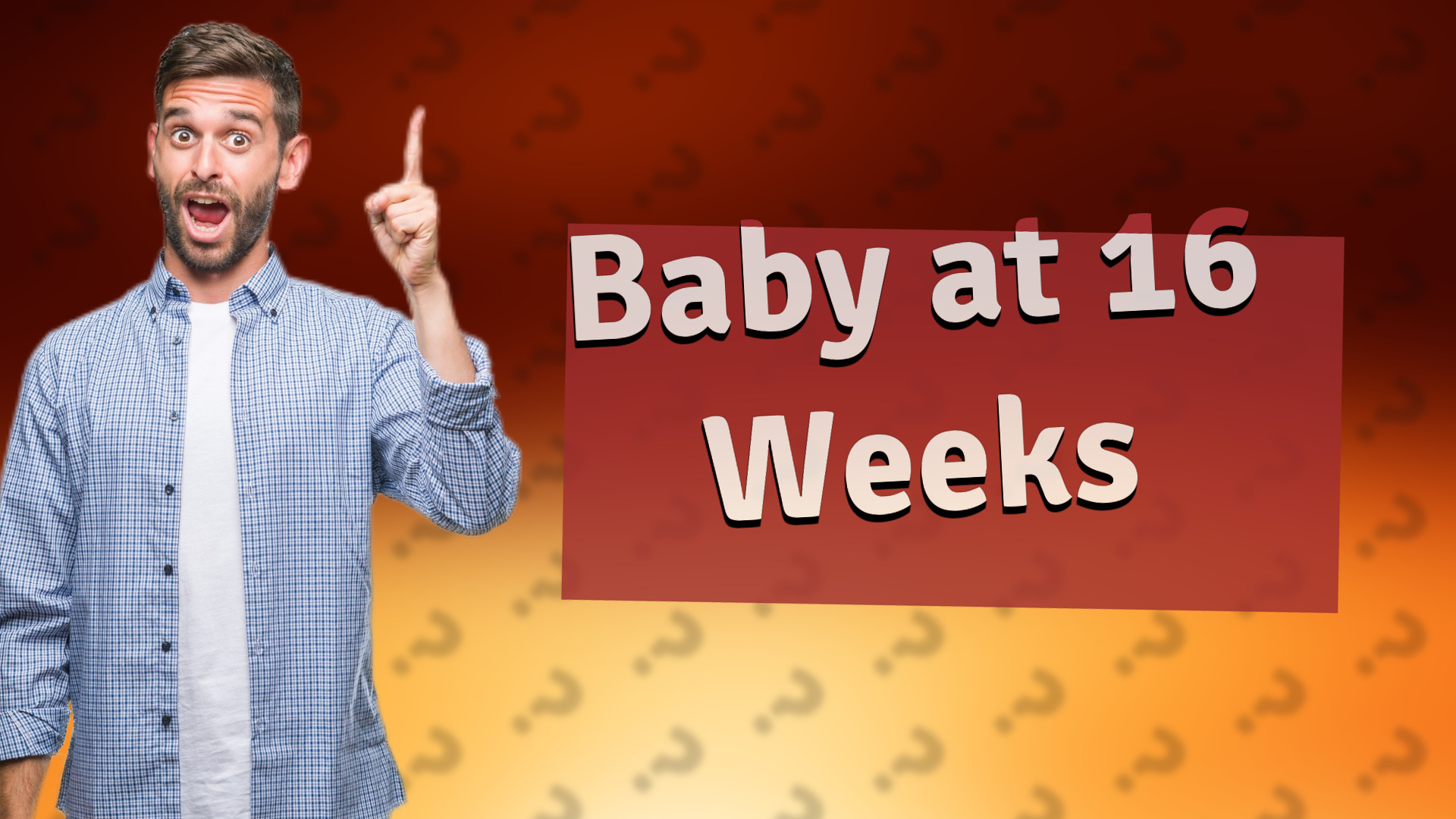 Baby at 16 Weeks