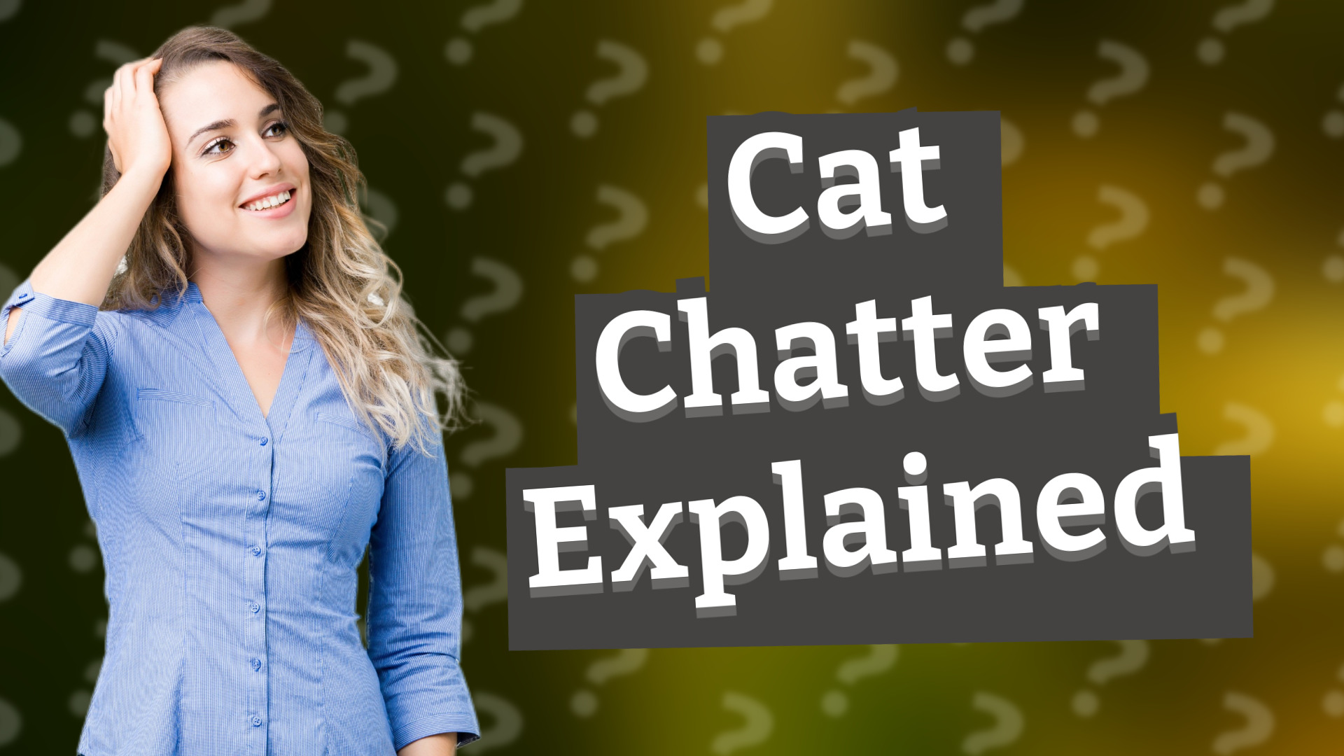 Cat Chatter Explained