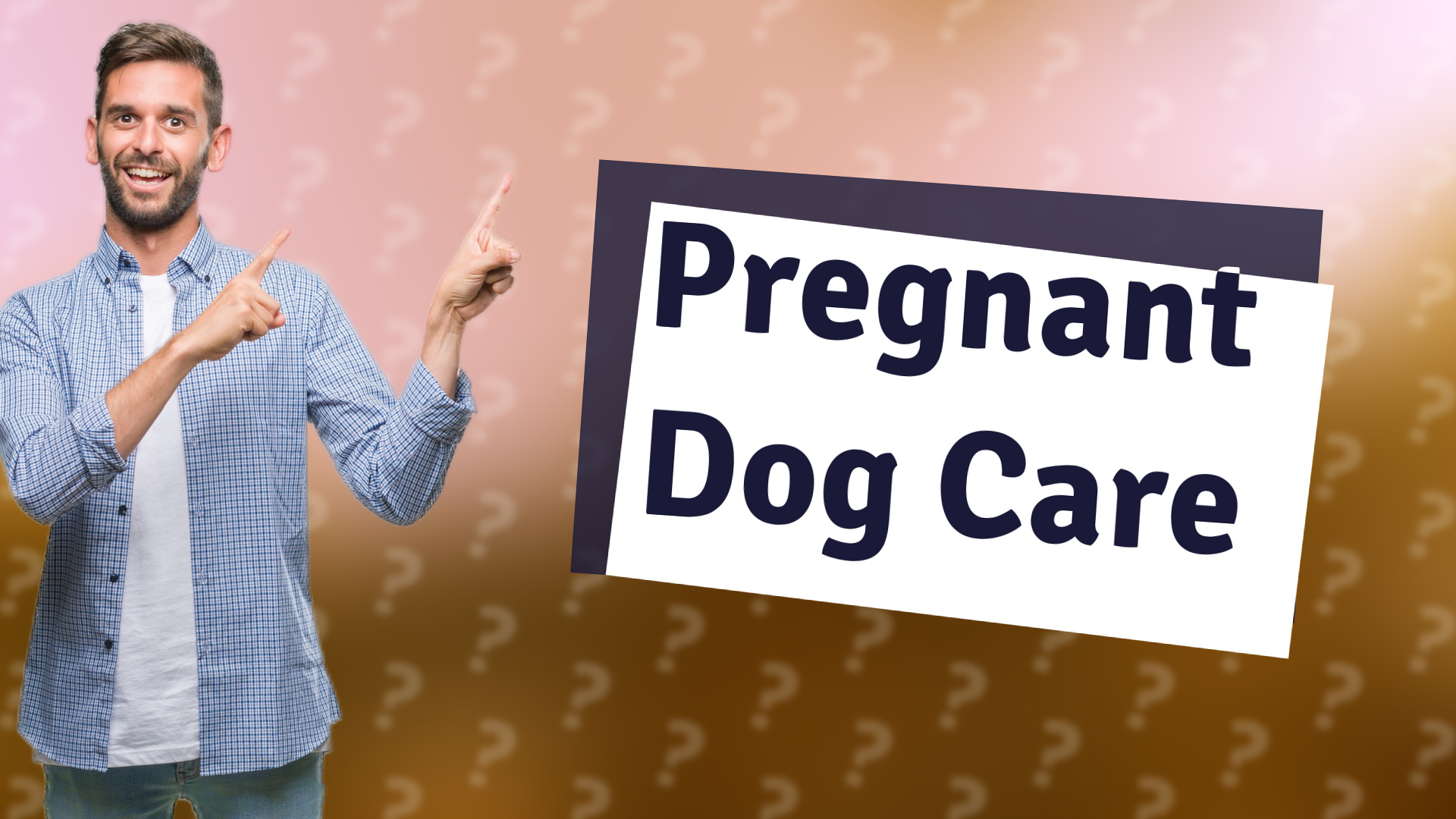 Pregnant Dog Care