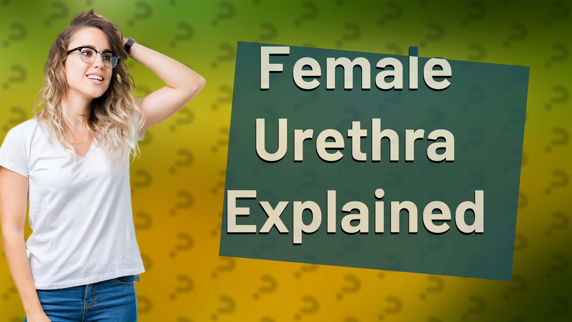 Female Urethra Explained