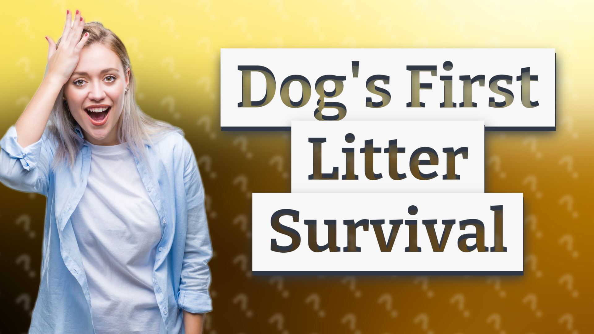 Dog's First Litter Survival