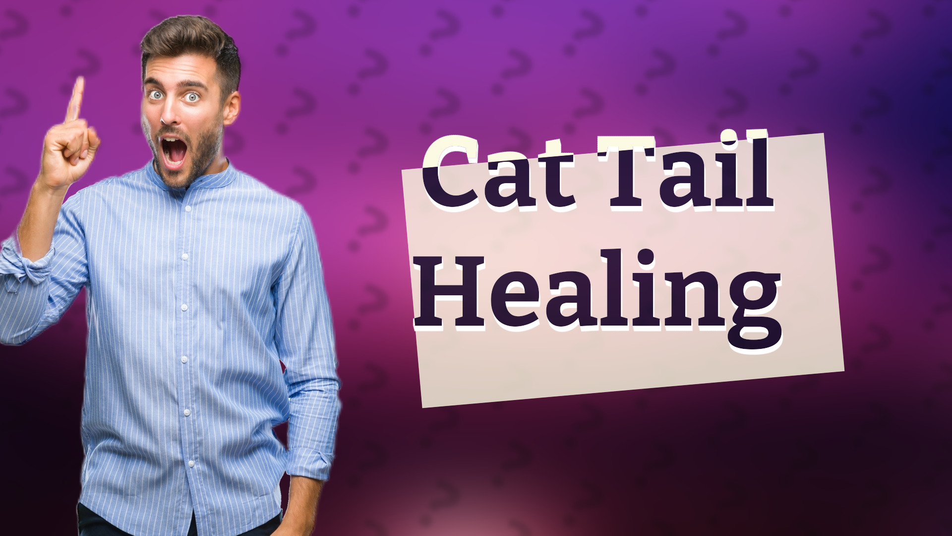 Cat Tail Healing