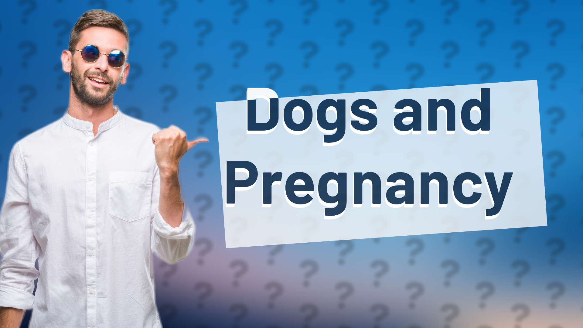 Dogs and Pregnancy