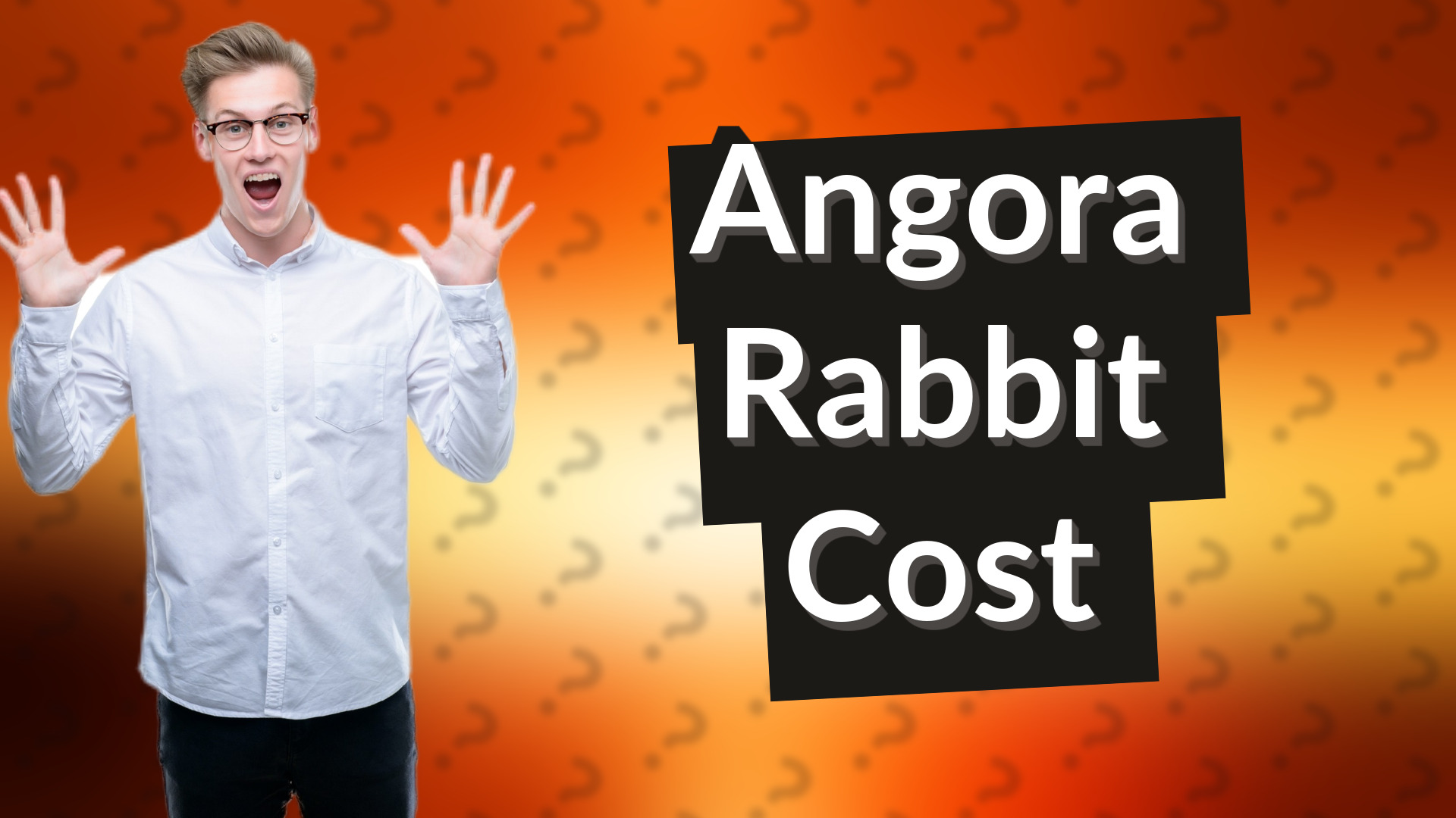 Angora Rabbit Cost