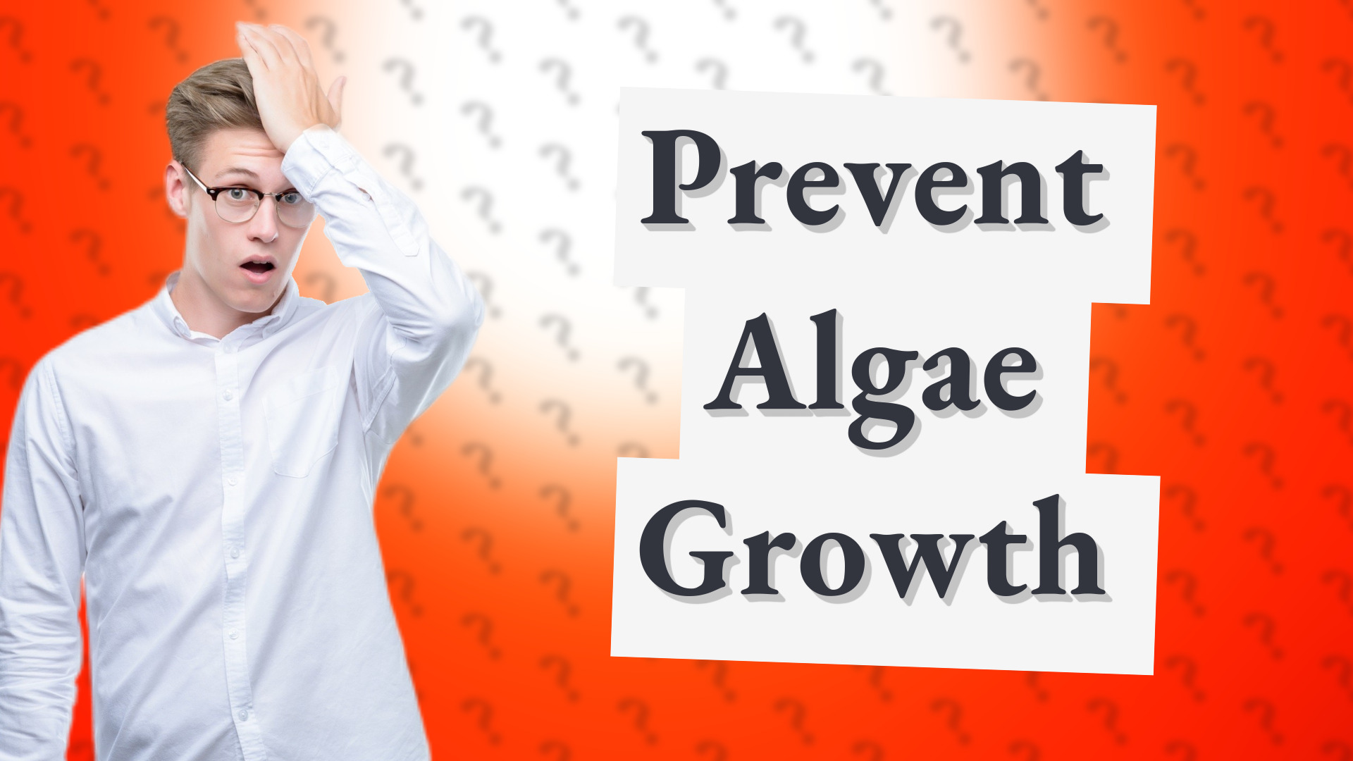Prevent Algae Growth