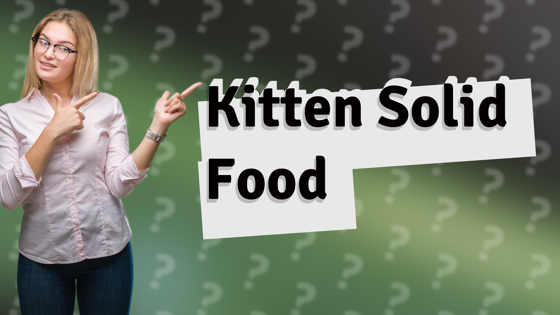 Kitten Solid Food