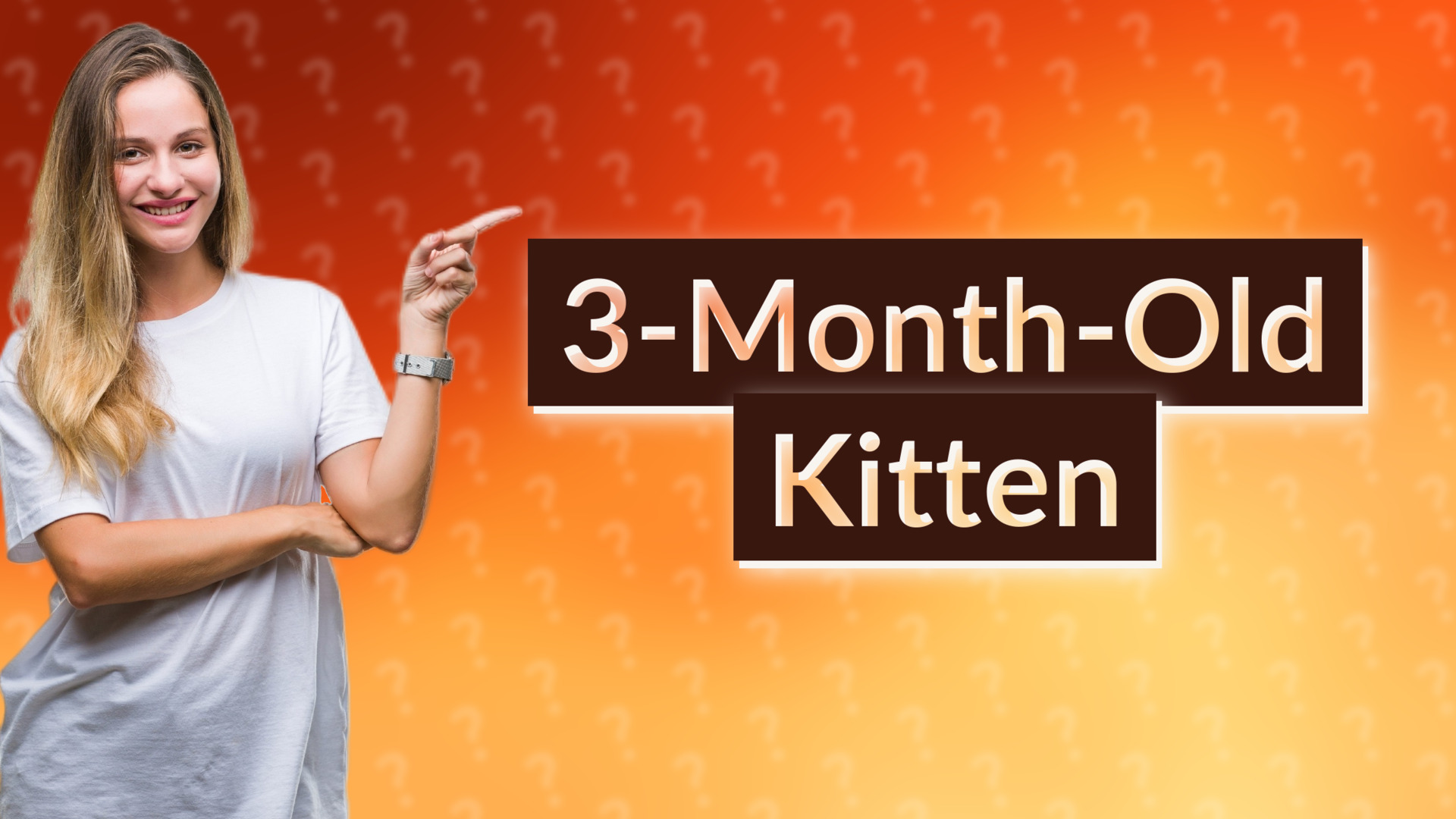 3-Month-Old Kitten