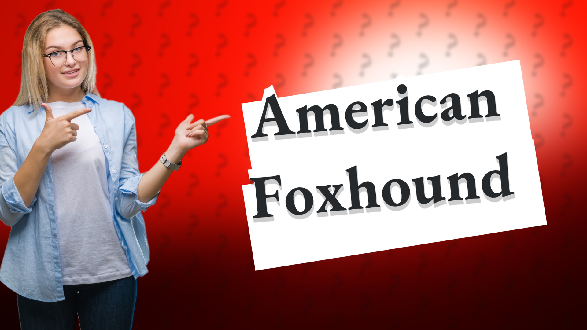American Foxhound