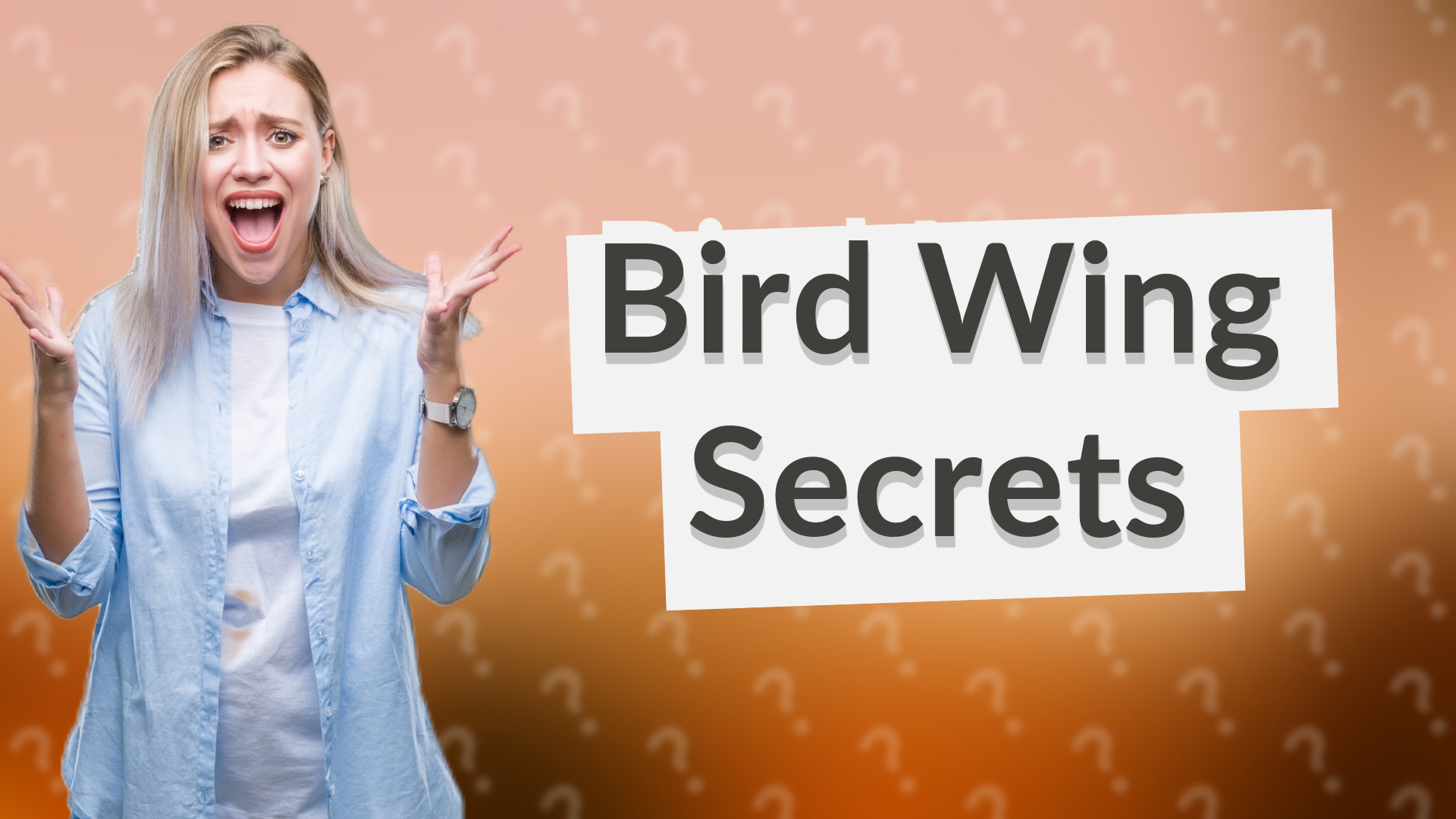 Bird Wing Secrets