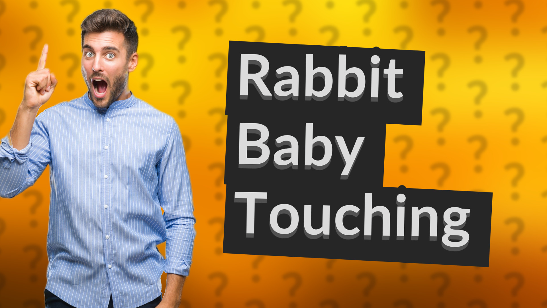 Rabbit Baby Touching