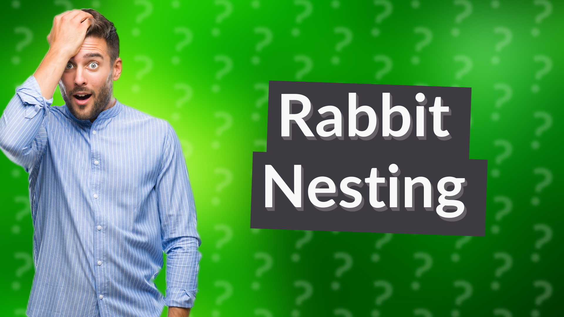 Rabbit Nesting