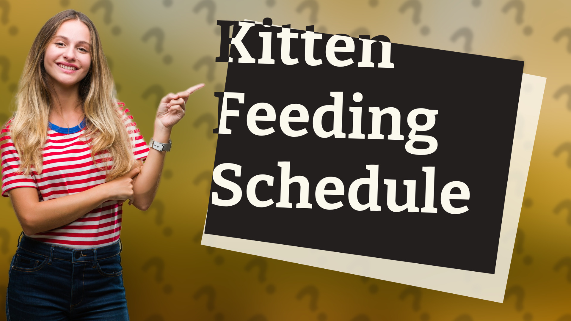 Kitten Feeding Schedule