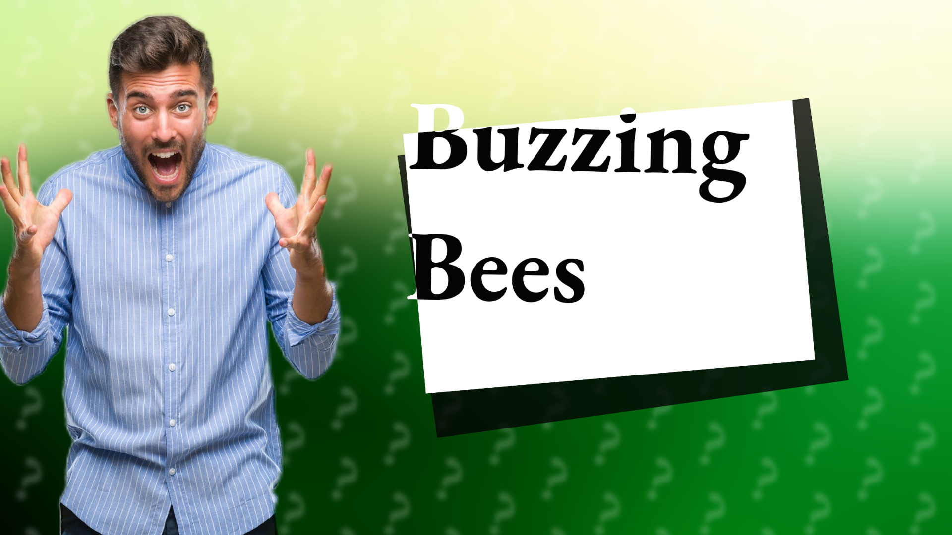 Buzzing Bees