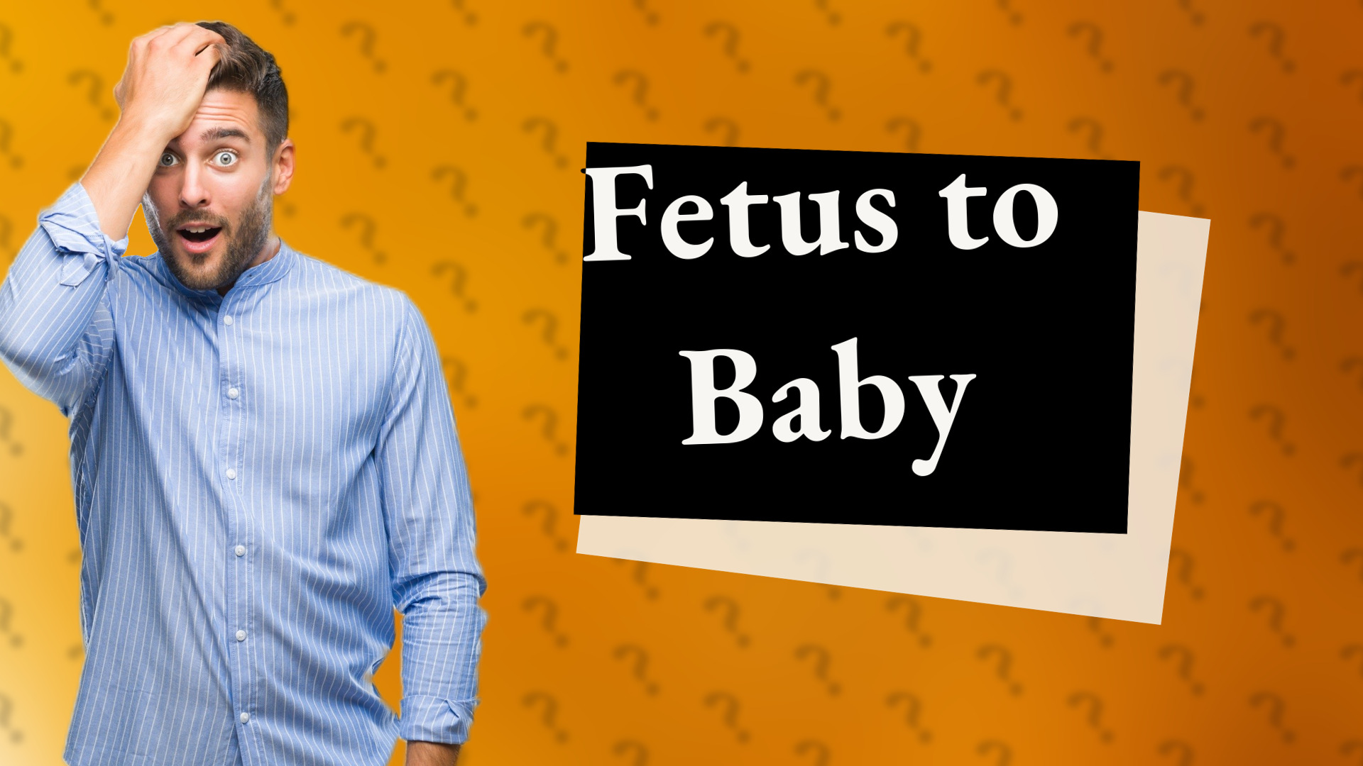 Fetus to Baby
