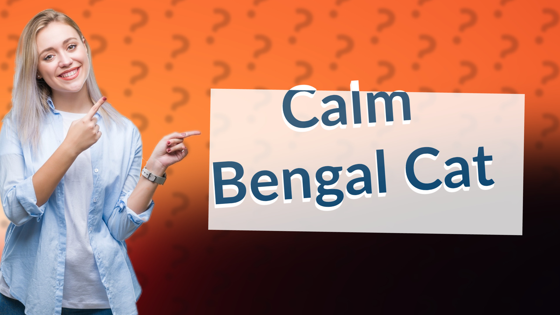 Calm Bengal Cat