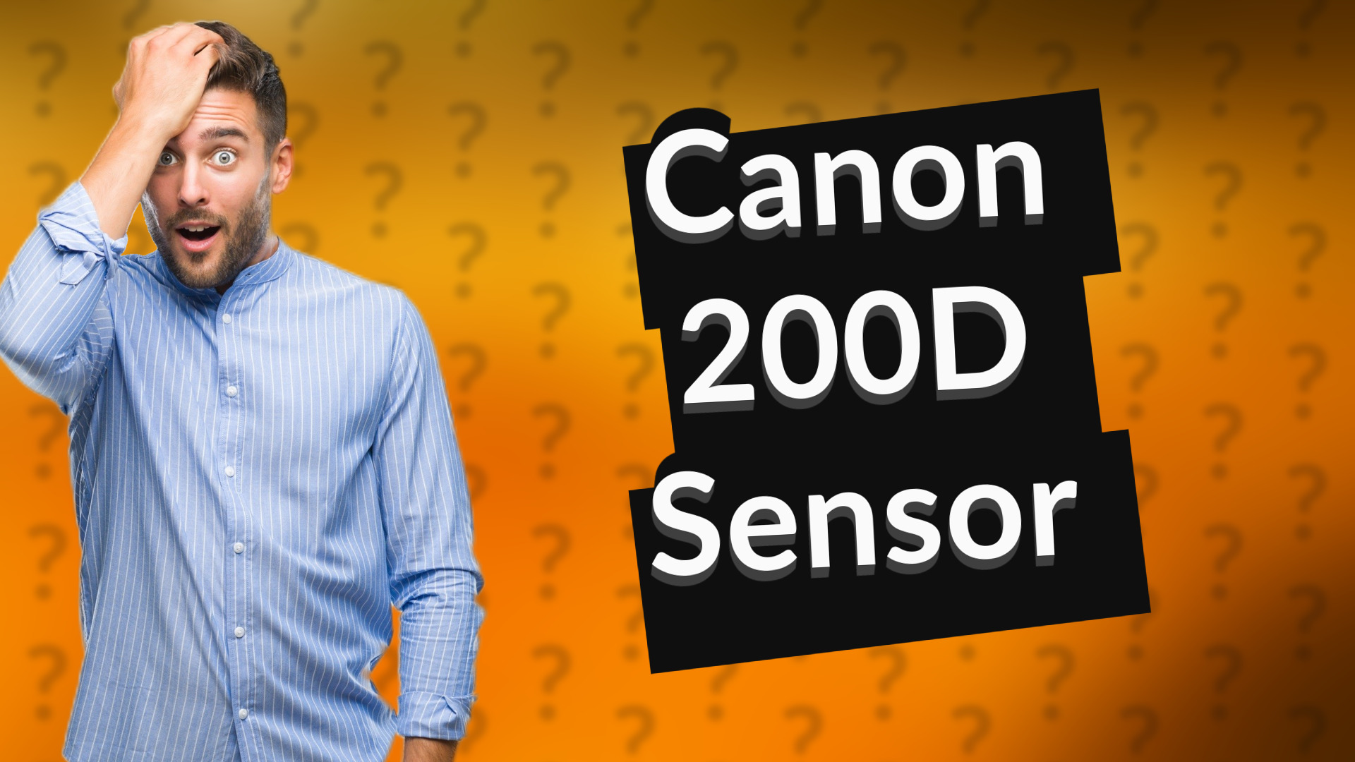 Canon 200D Sensor