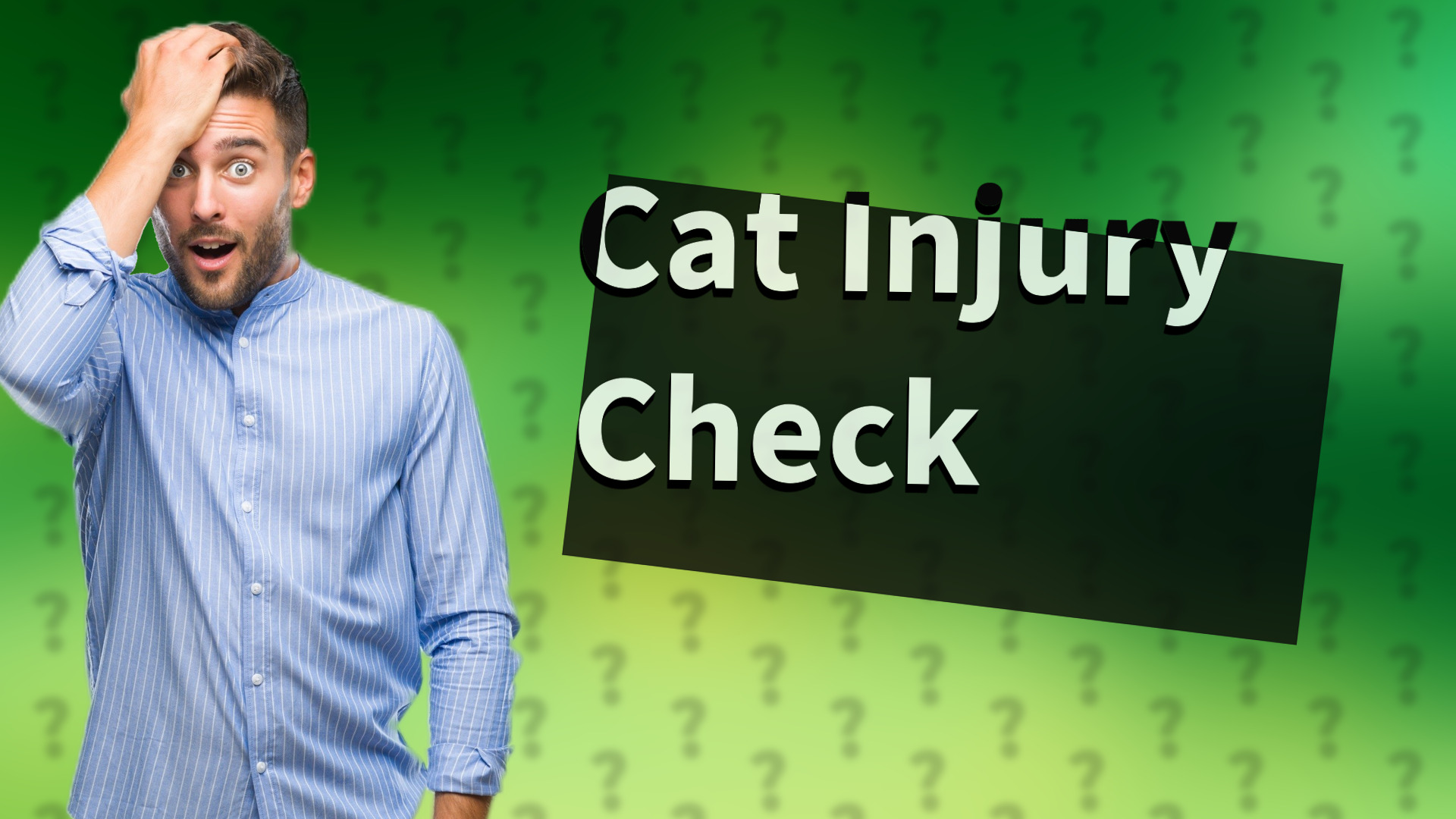 Cat Injury Check