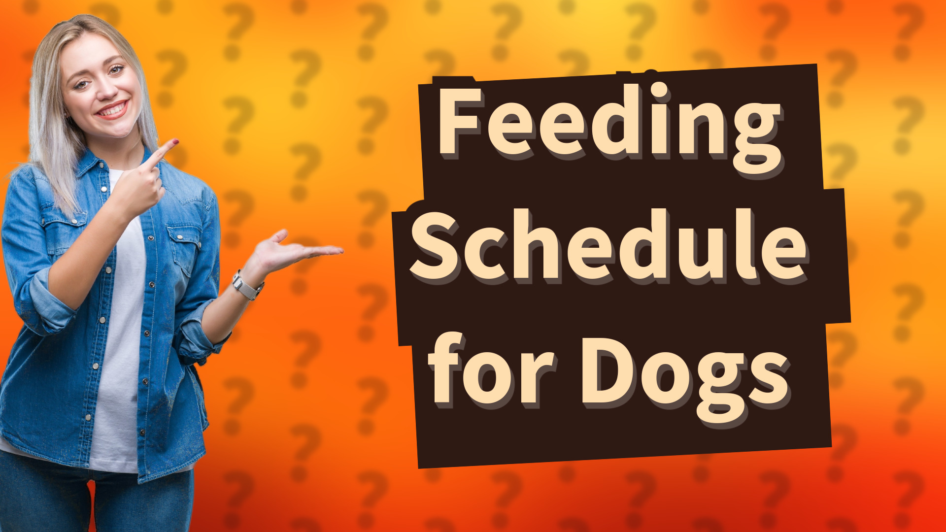 Feeding Schedule for Dogs