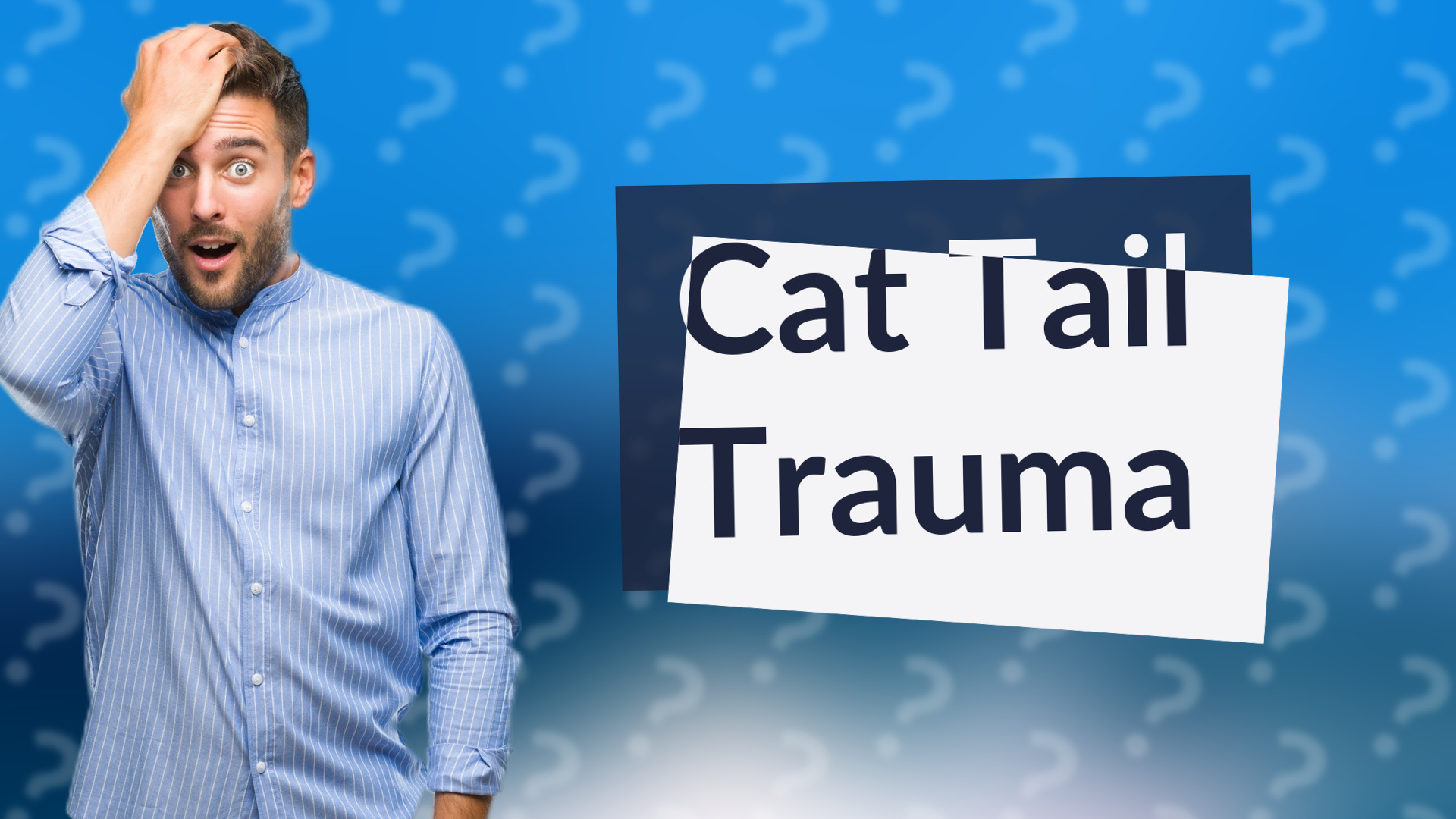 Cat Tail Trauma