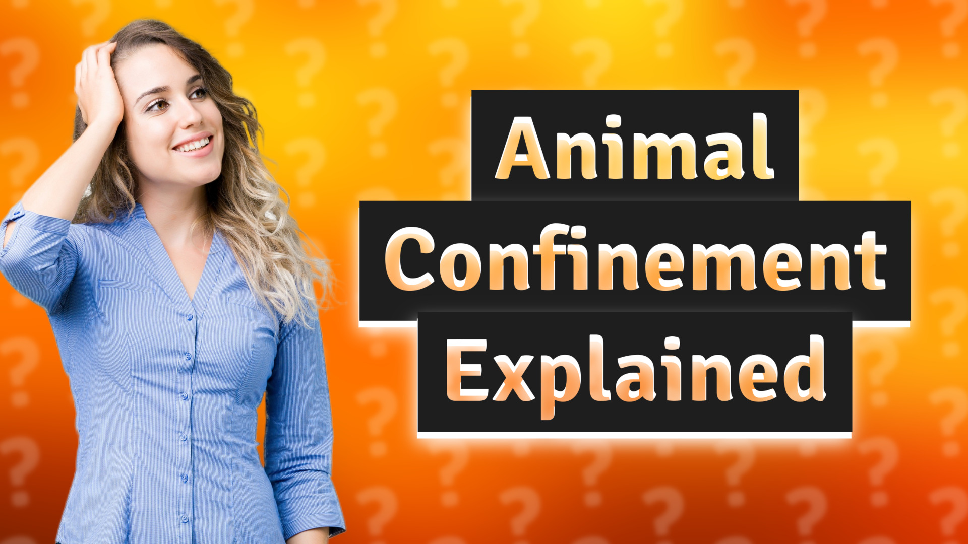 Animal Confinement Explained