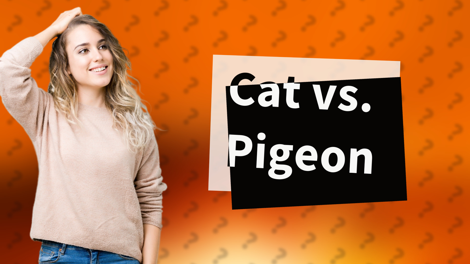 Cat vs. Pigeon