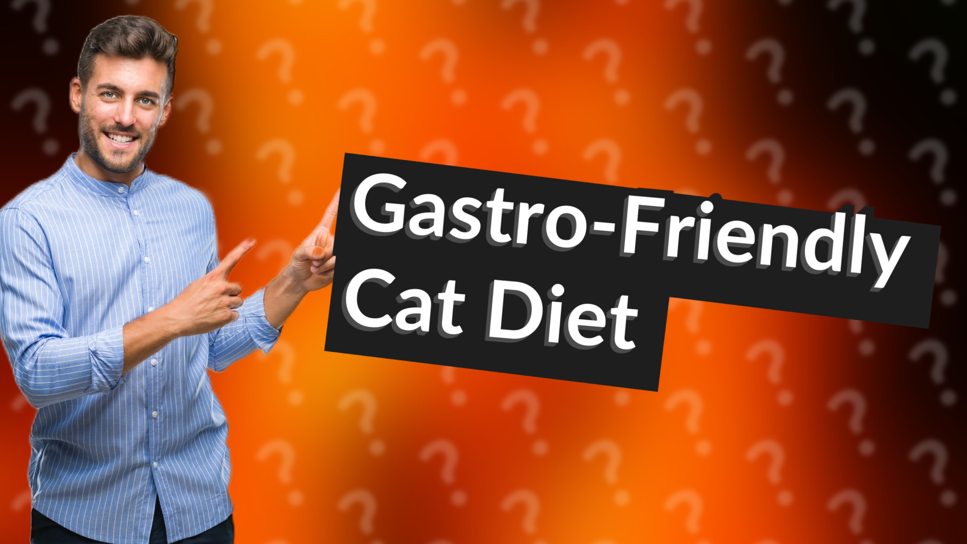 Gastro-Friendly Cat Diet