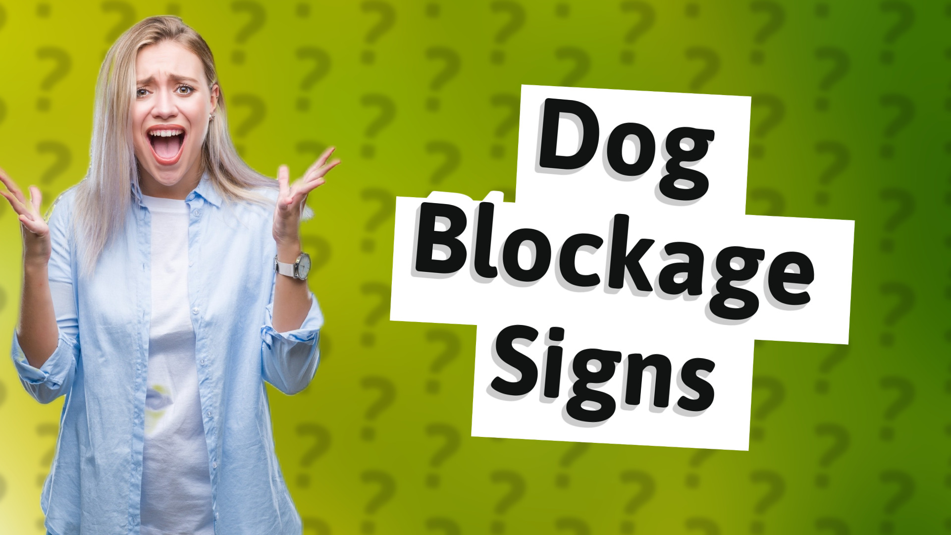 Dog Blockage Signs