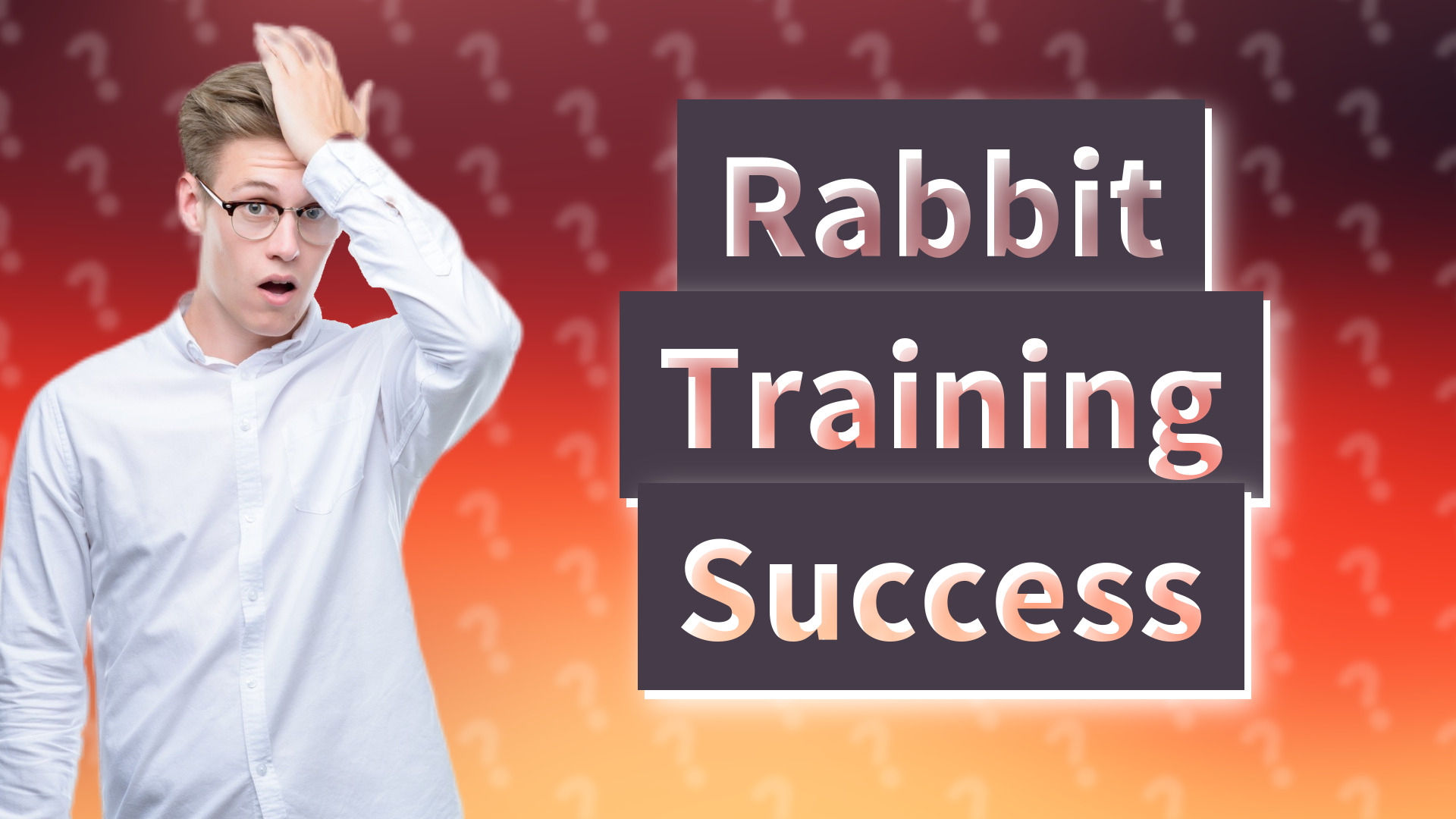 Rabbit Training Success