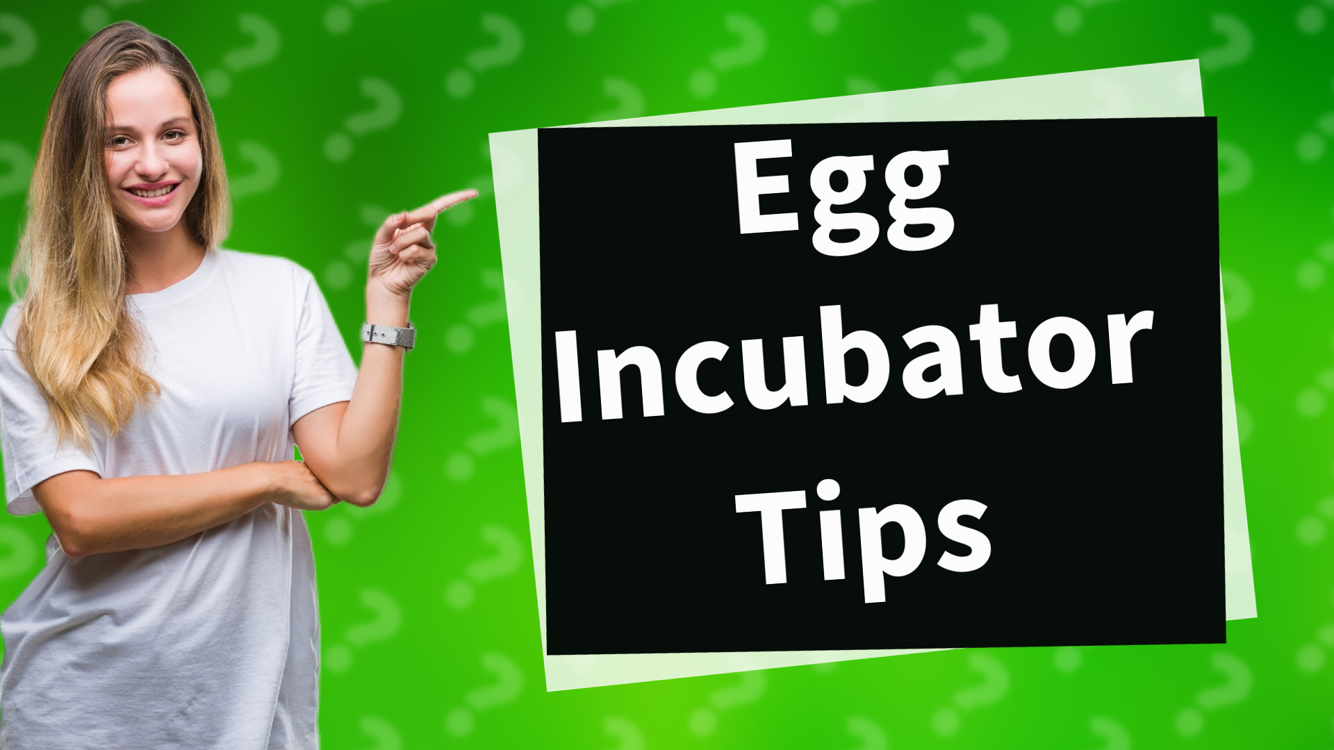 Egg Incubator Tips