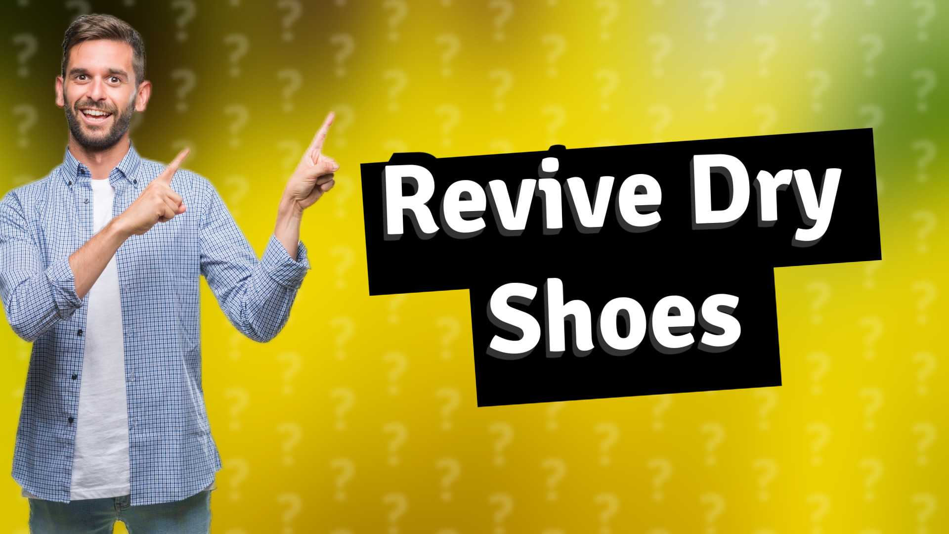 Revive Dry Shoes