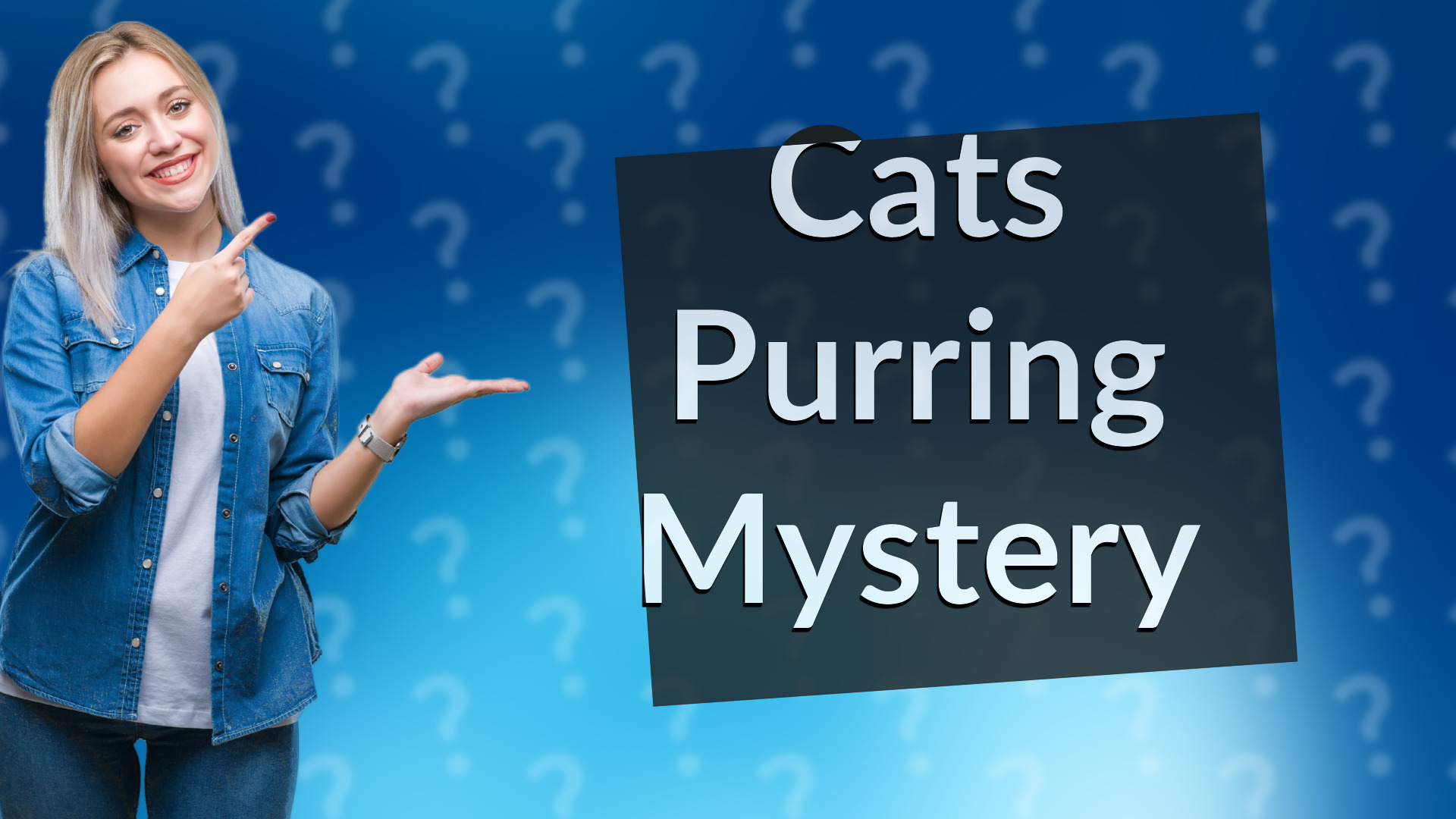 Cats Purring Mystery