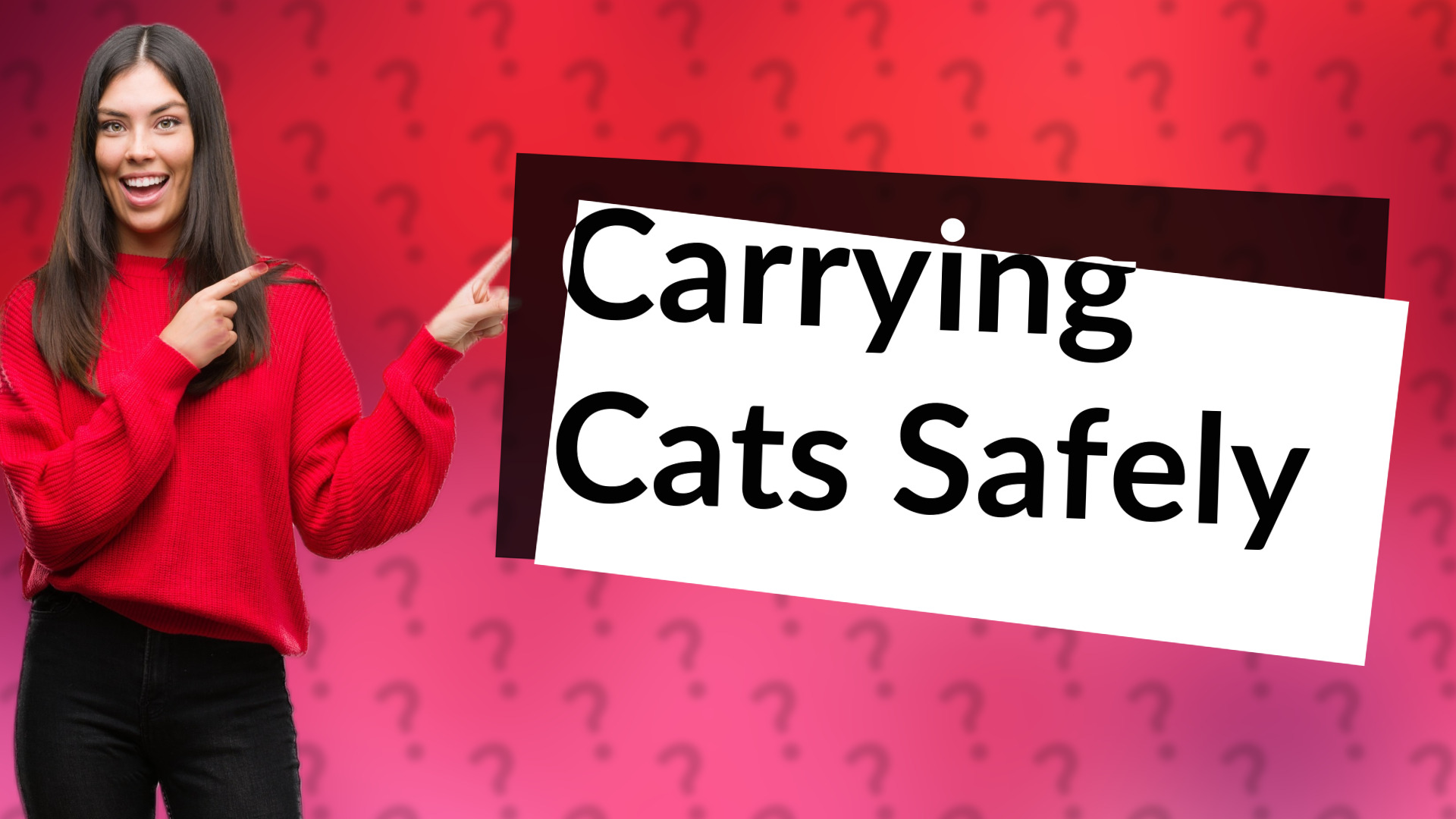 Carrying Cats Safely