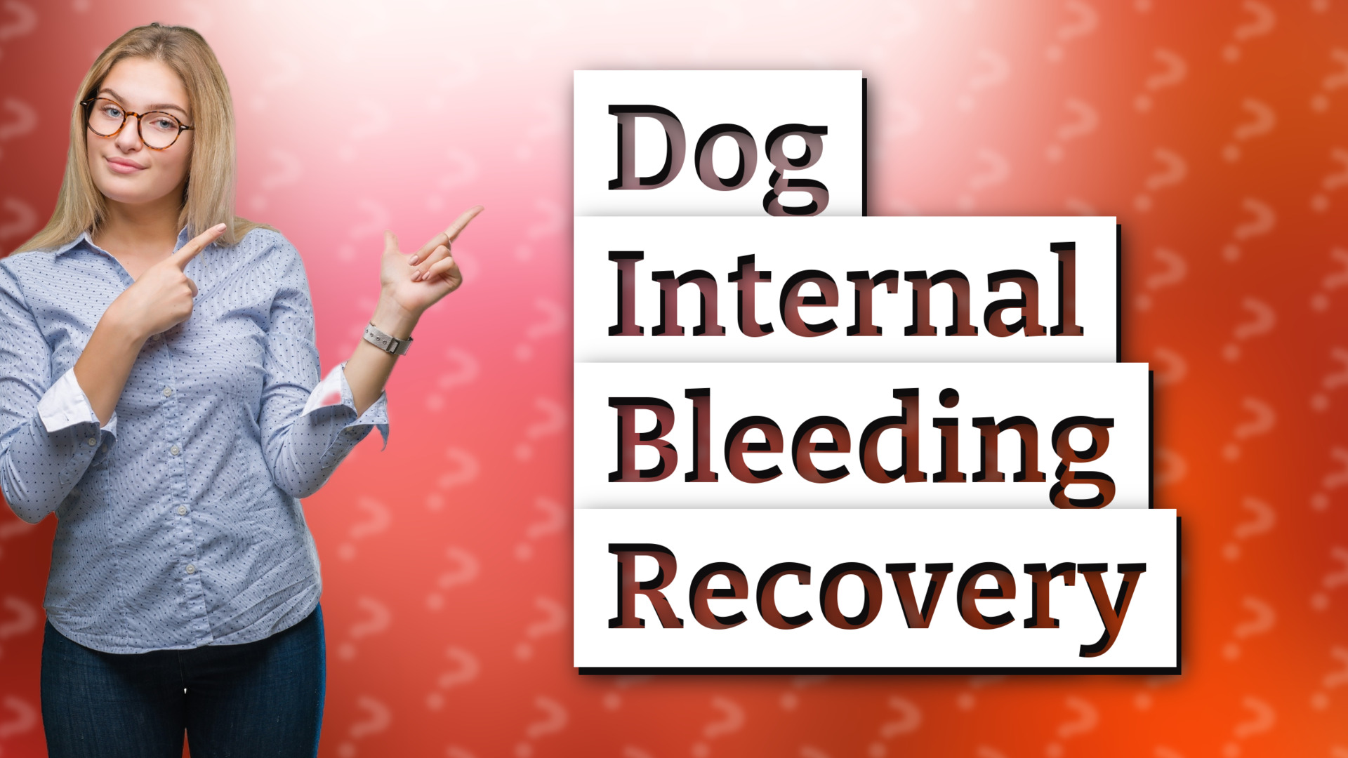 Dog Internal Bleeding Recovery