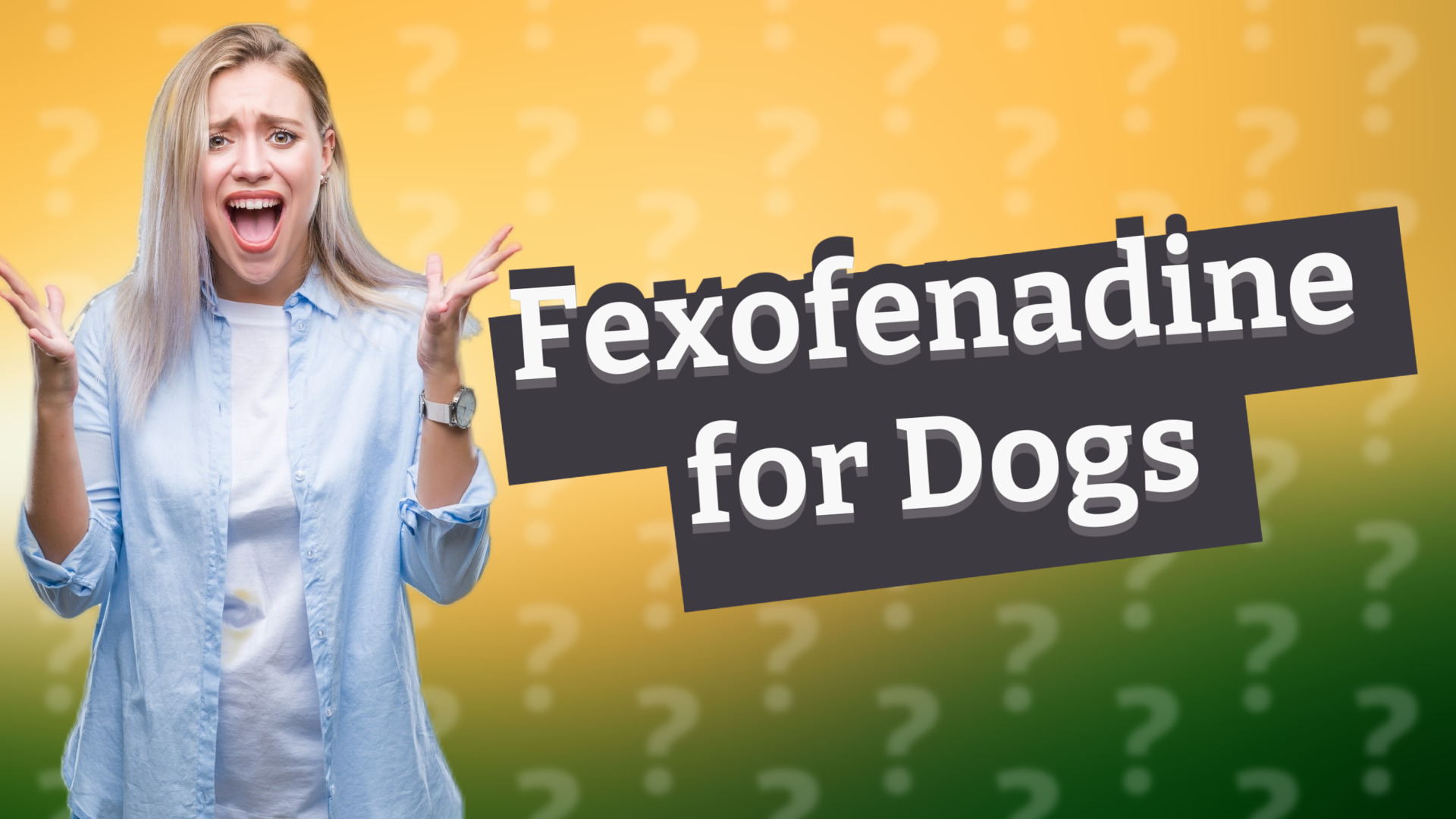 Fexofenadine for Dogs
