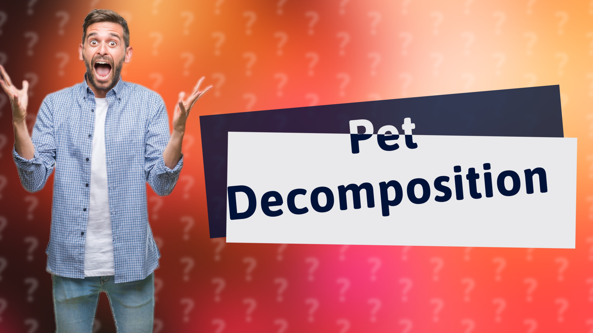 Pet Decomposition