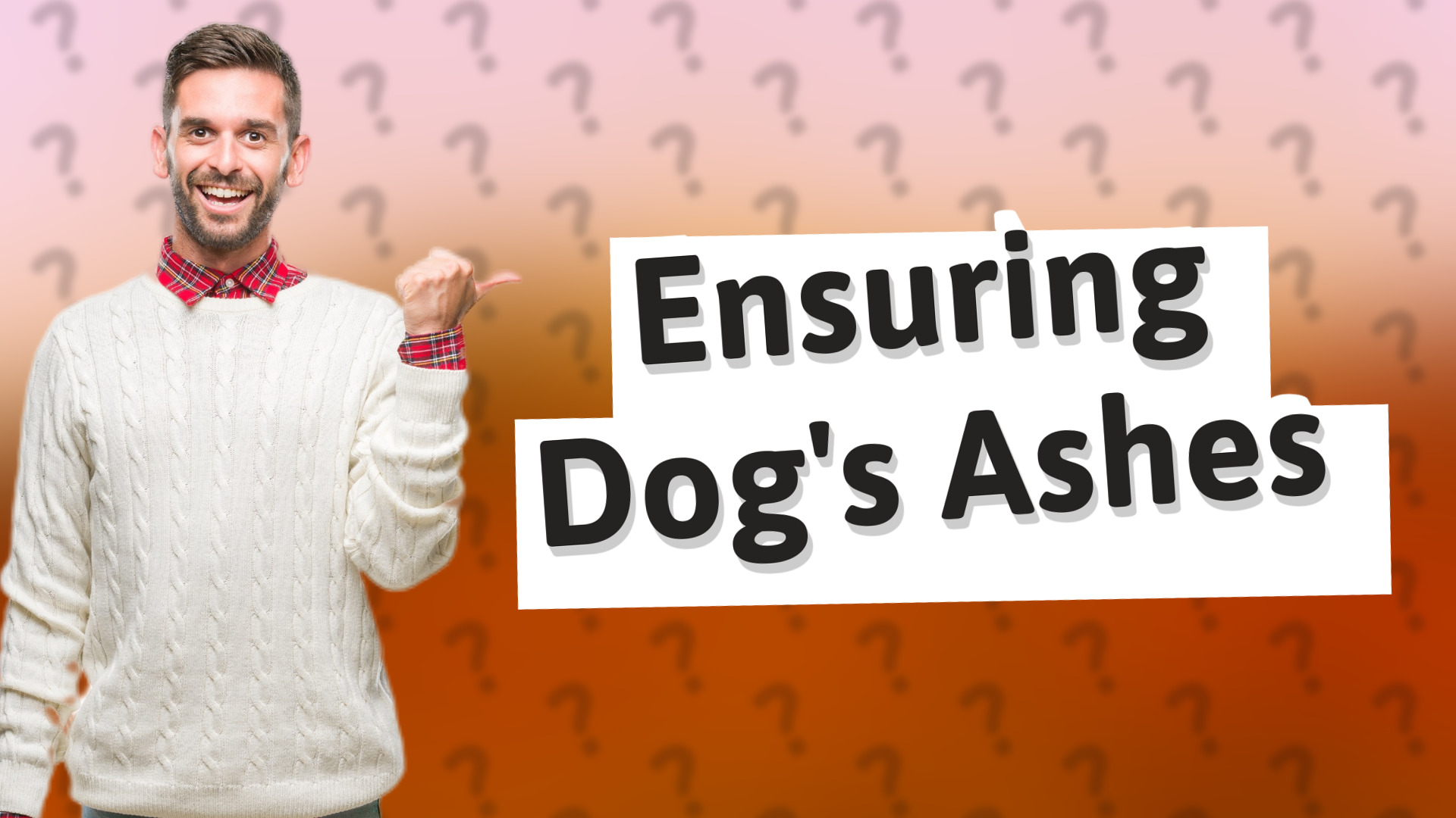 Ensuring Dog's Ashes