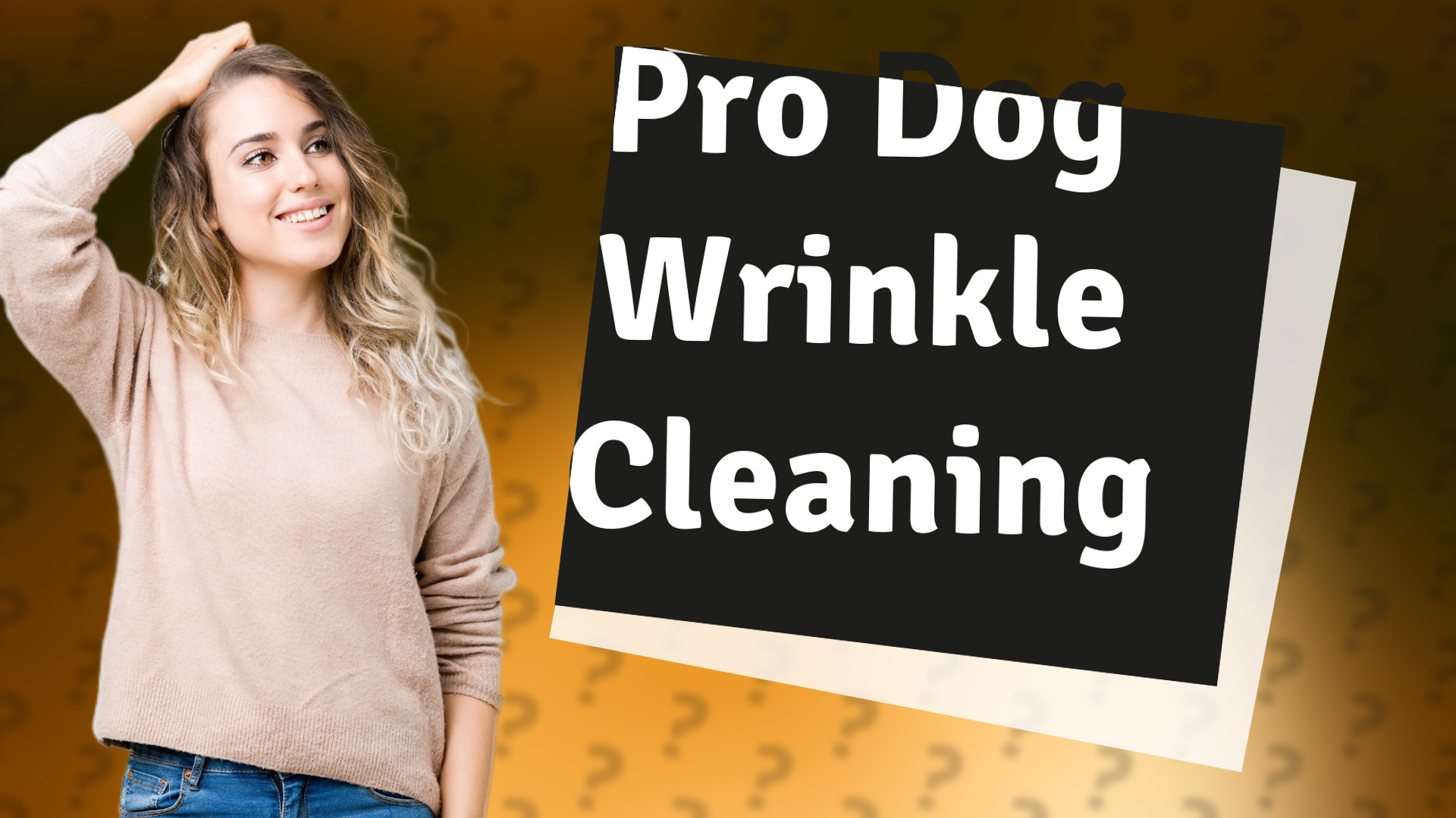 Pro Dog Wrinkle Cleaning