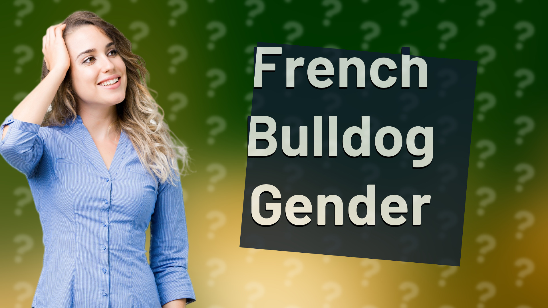 French Bulldog Gender