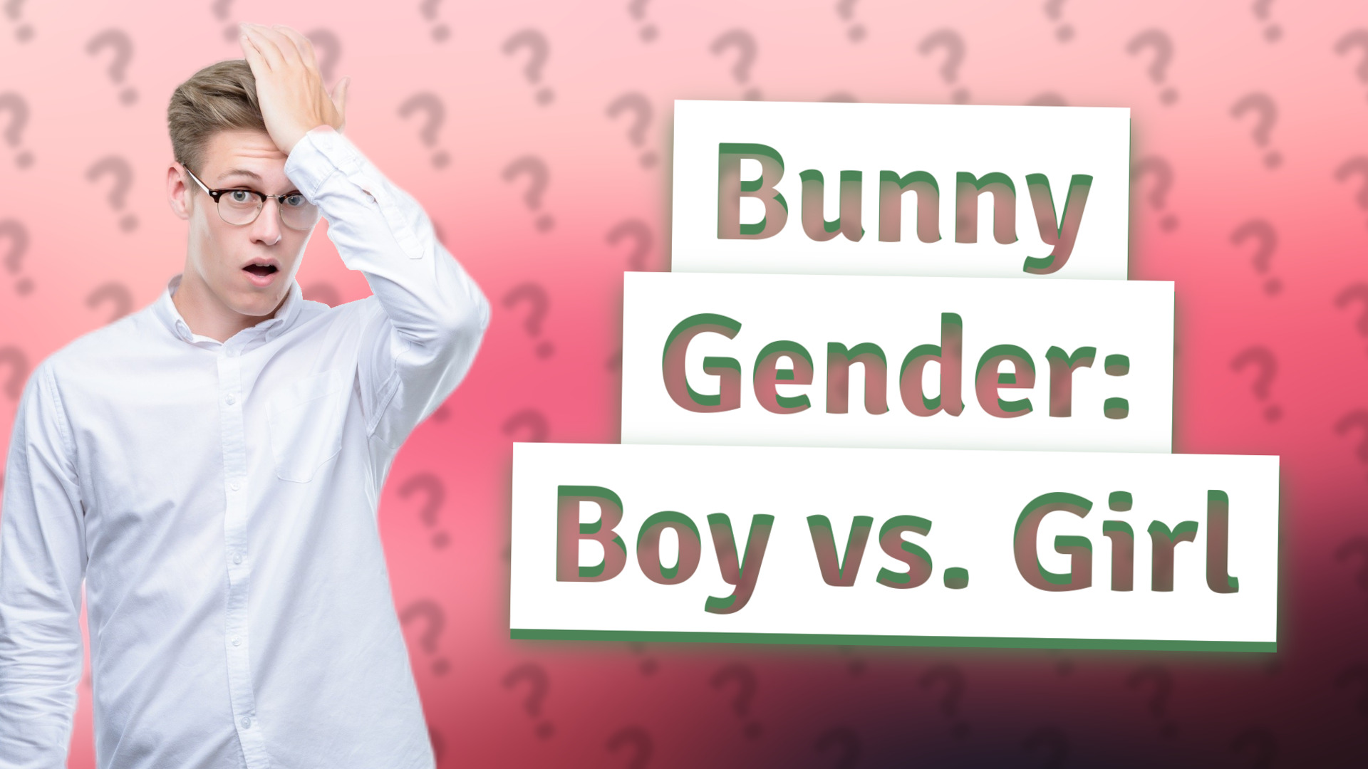 Bunny Gender: Boy vs. Girl