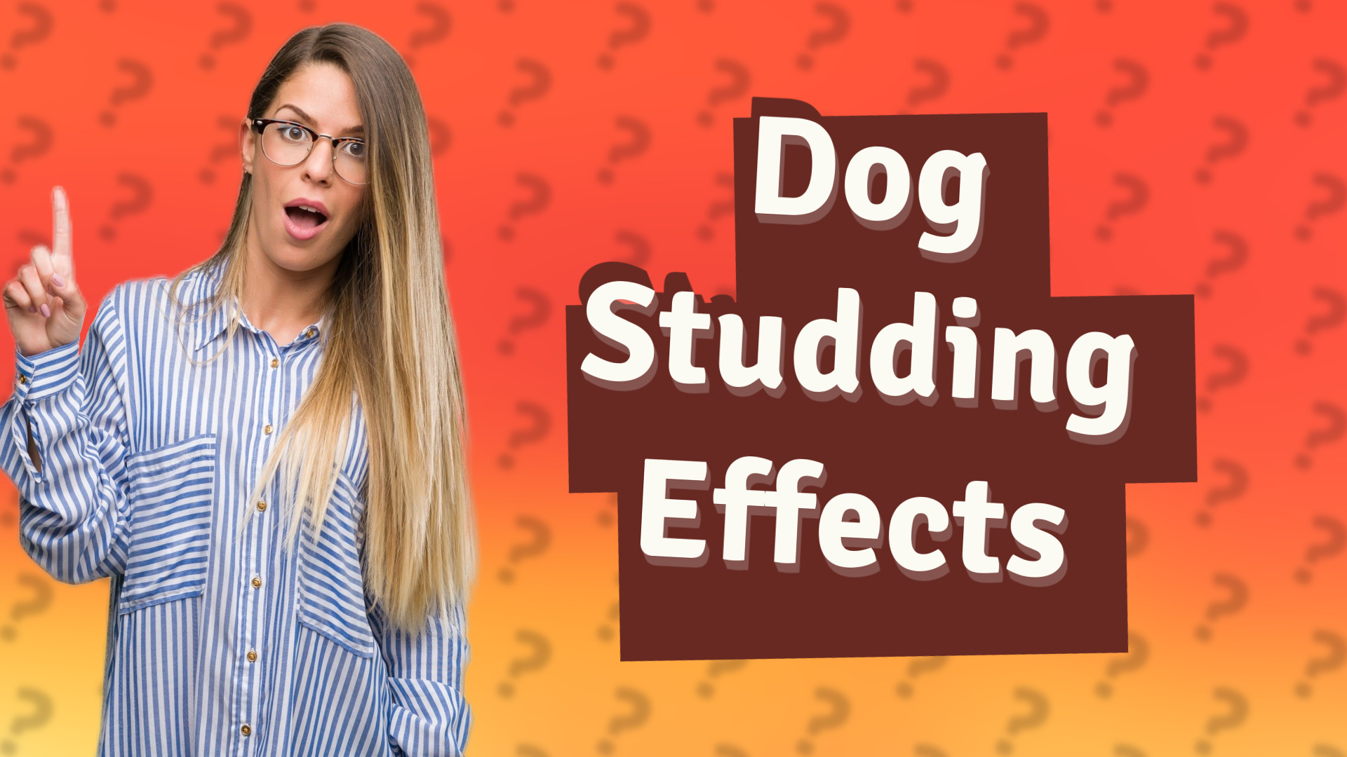 Dog Studding Effects